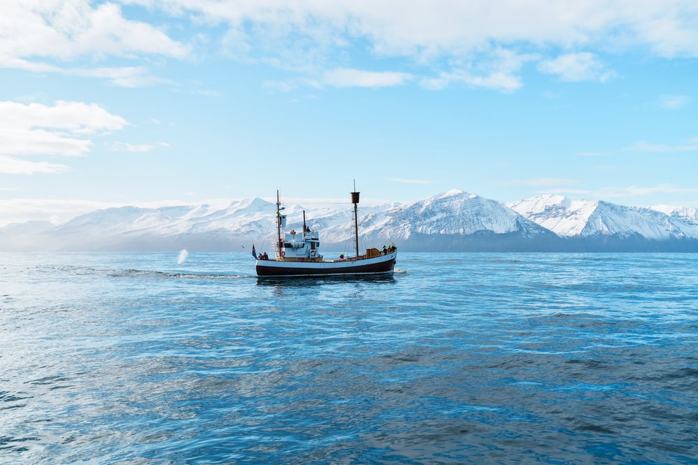 A fishing boat sails on calm ocean waters with snowy mountains