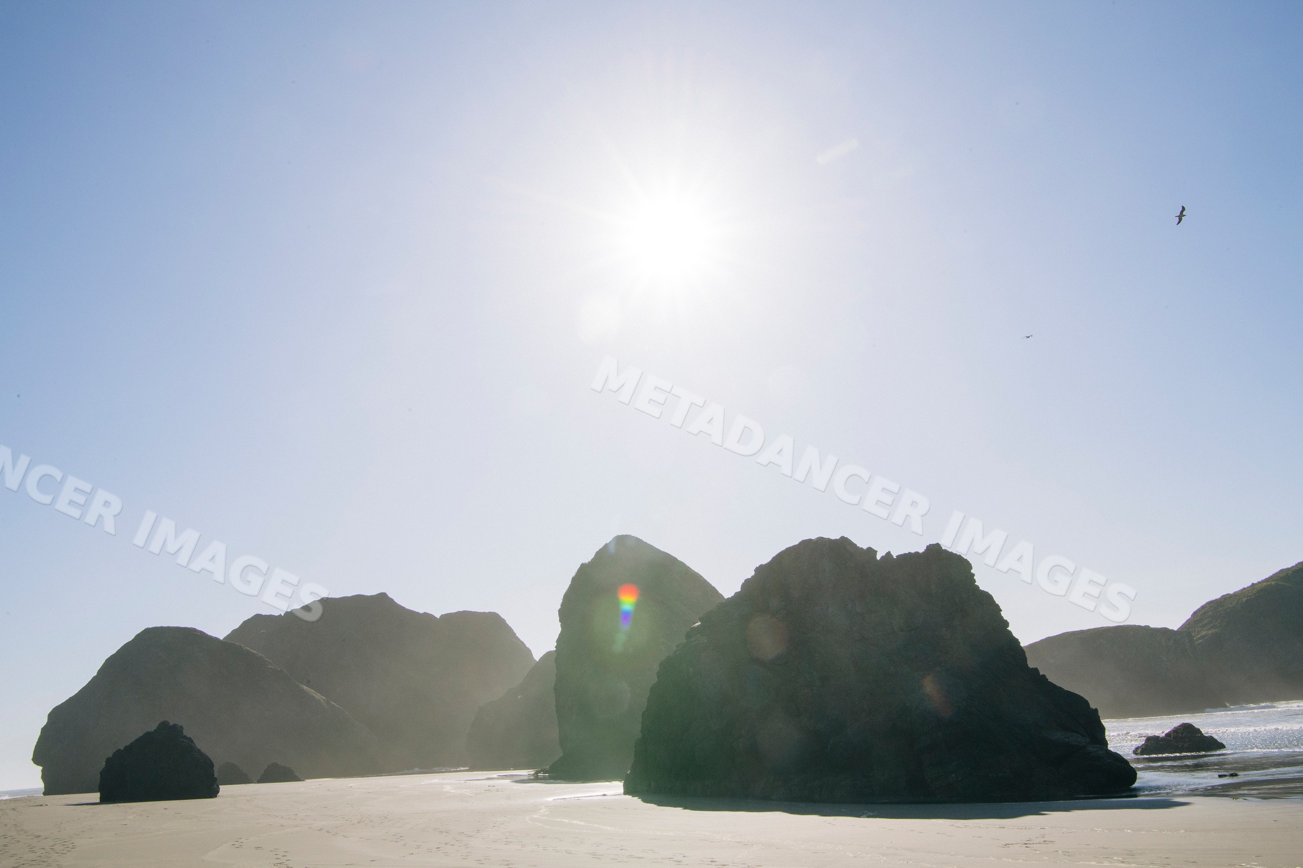 Large rocks on sandy beach under bright sun with seagull flying