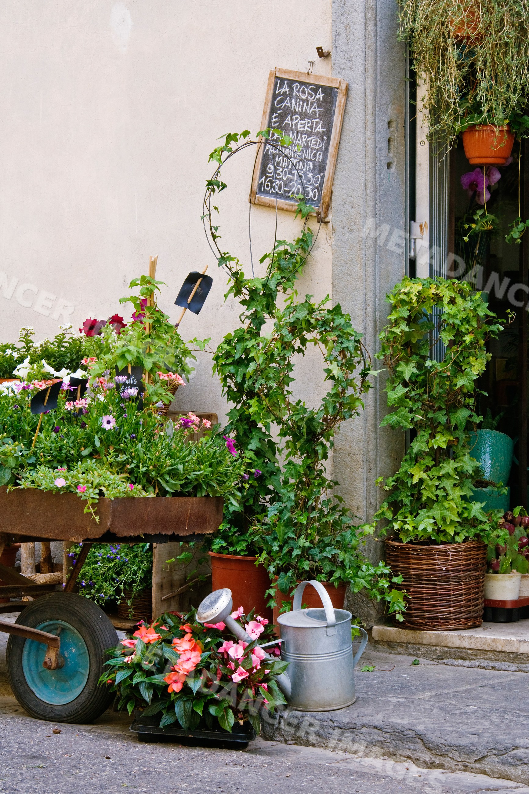 Flower shop exterior with blooming plants and garden tools italy