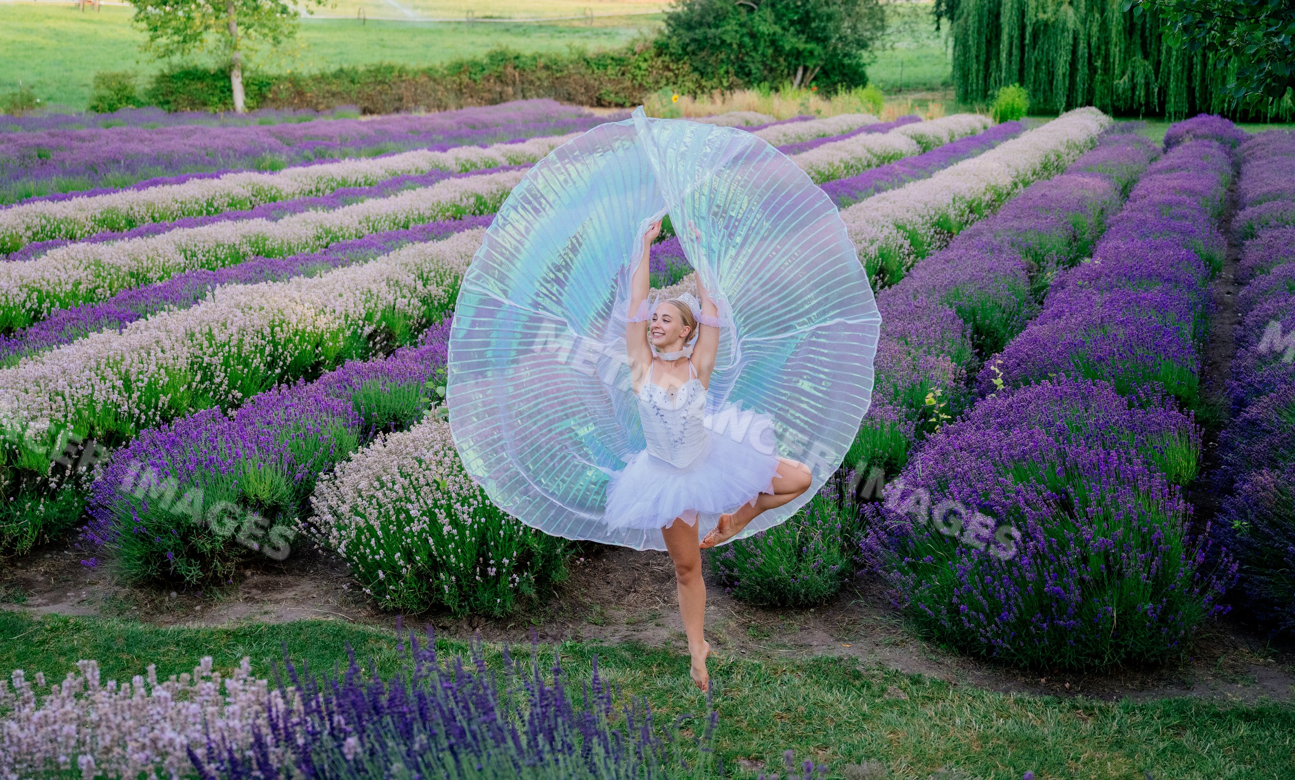 A ballerina dancing gracefully in a lavender field on a flower farm