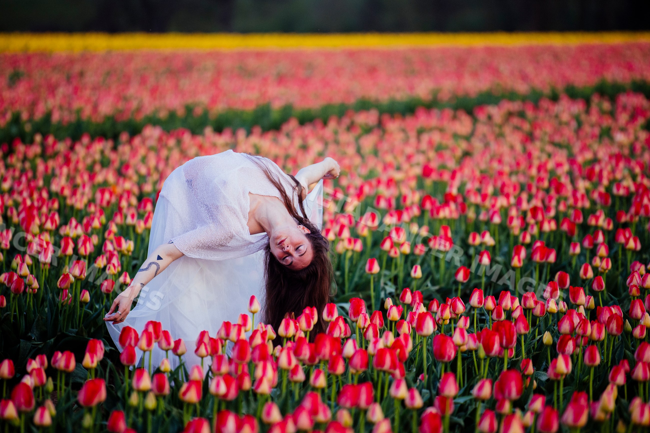 White woman dancing amid red tulip field in spring landscape USA