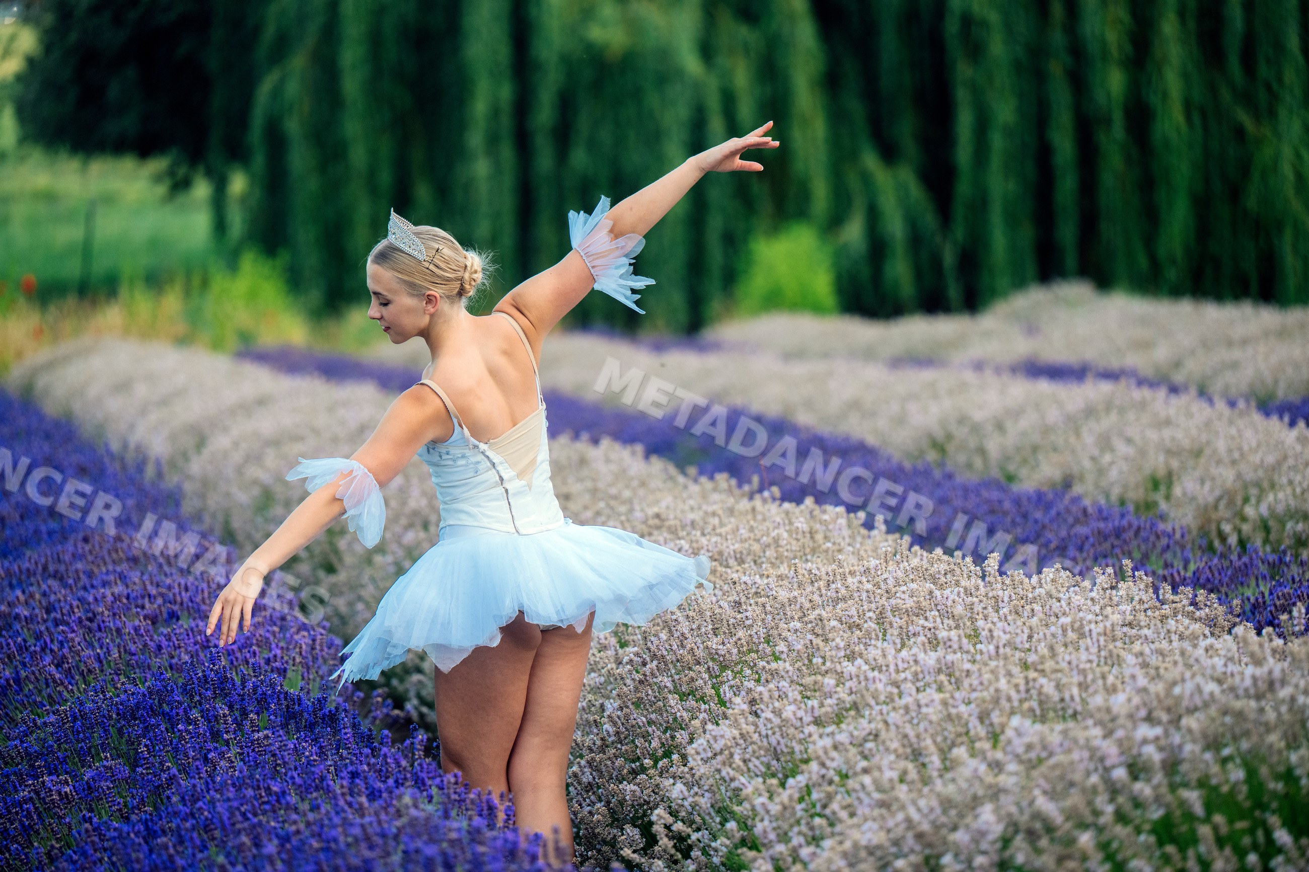 A ballerina dances gracefully in a lavender and flower field