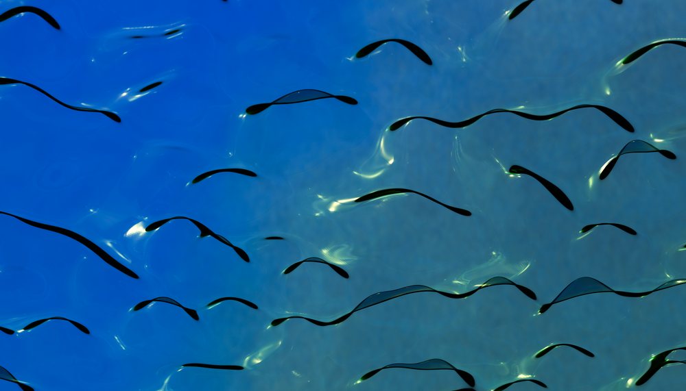 Water surface with ripples and light reflections creating abstract
