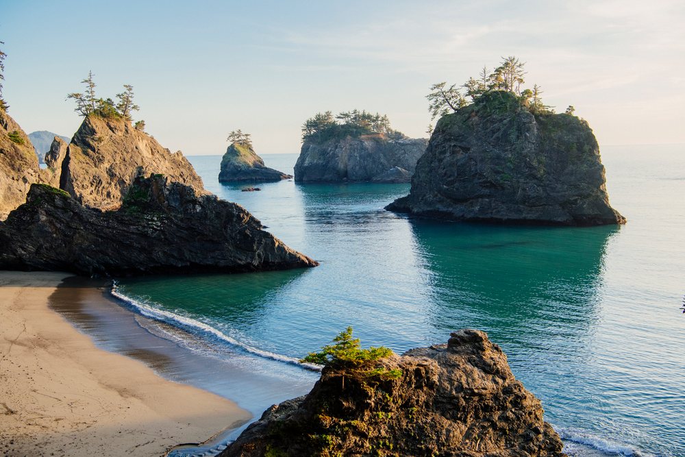 Coastline rock formations and trees Oregon
