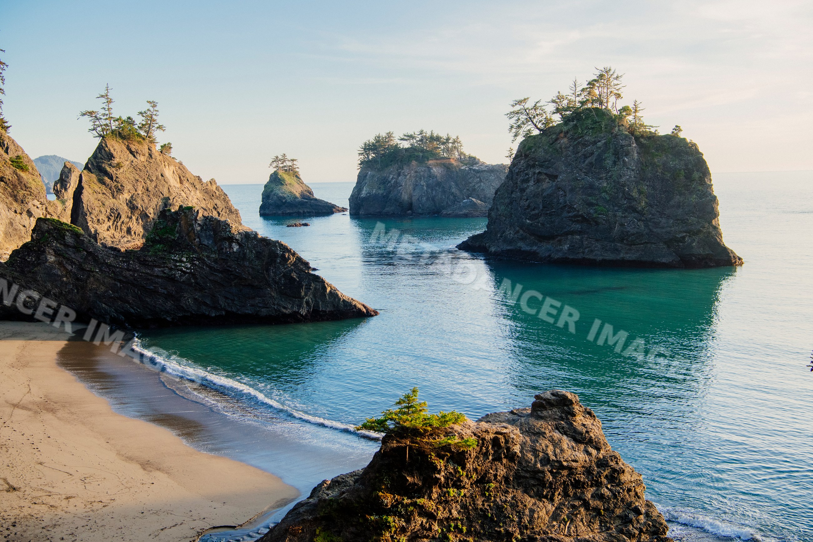 Coastline rock formations and trees Oregon