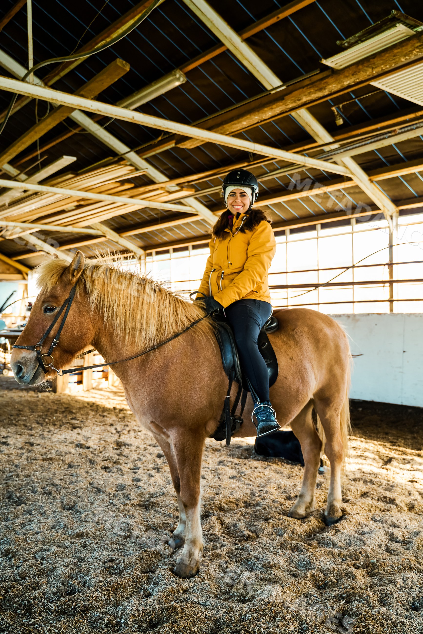A white woman rides a brown horse inside a stable in Iceland