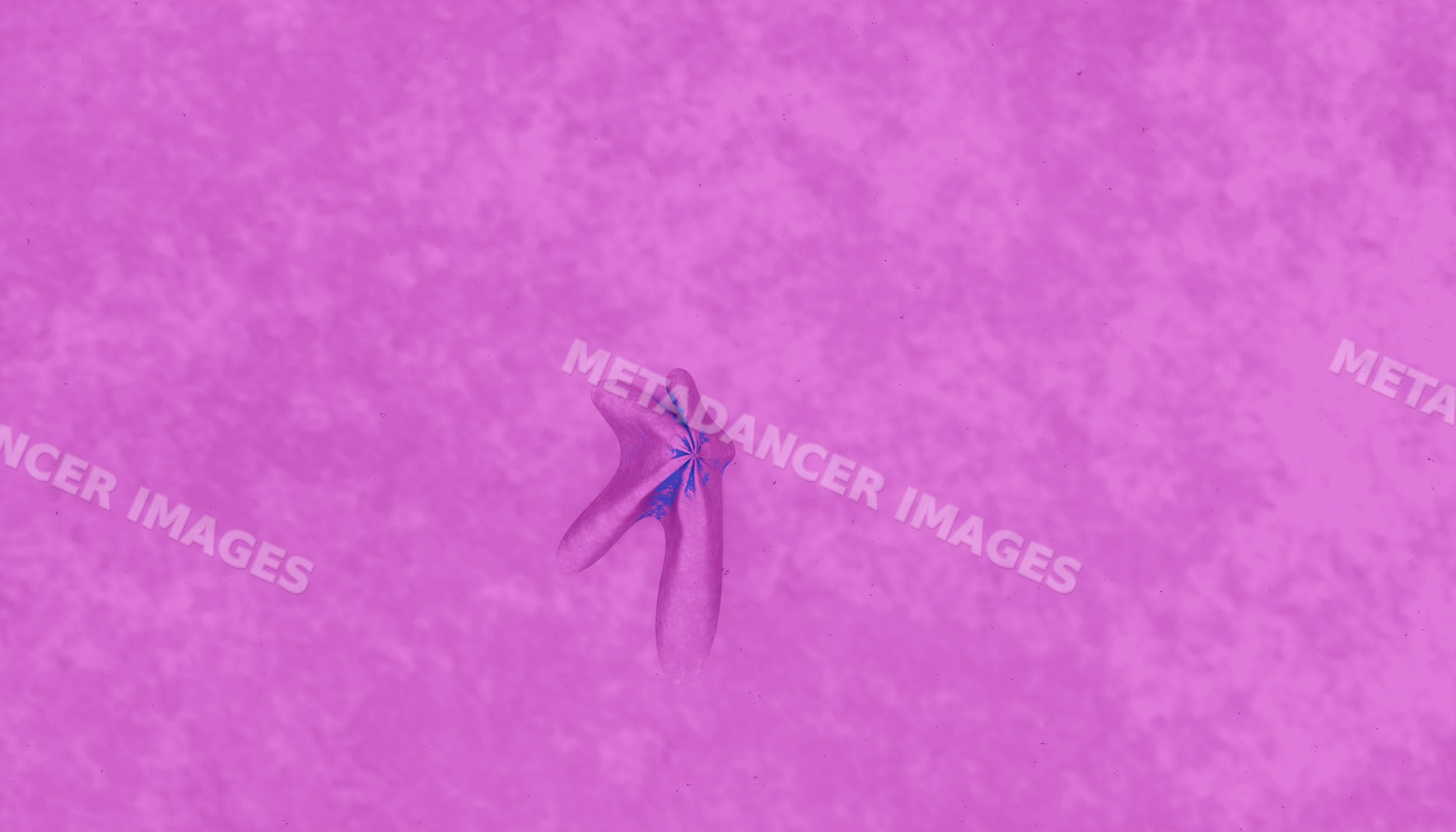 Starfish with three arms on pink textured sea floor