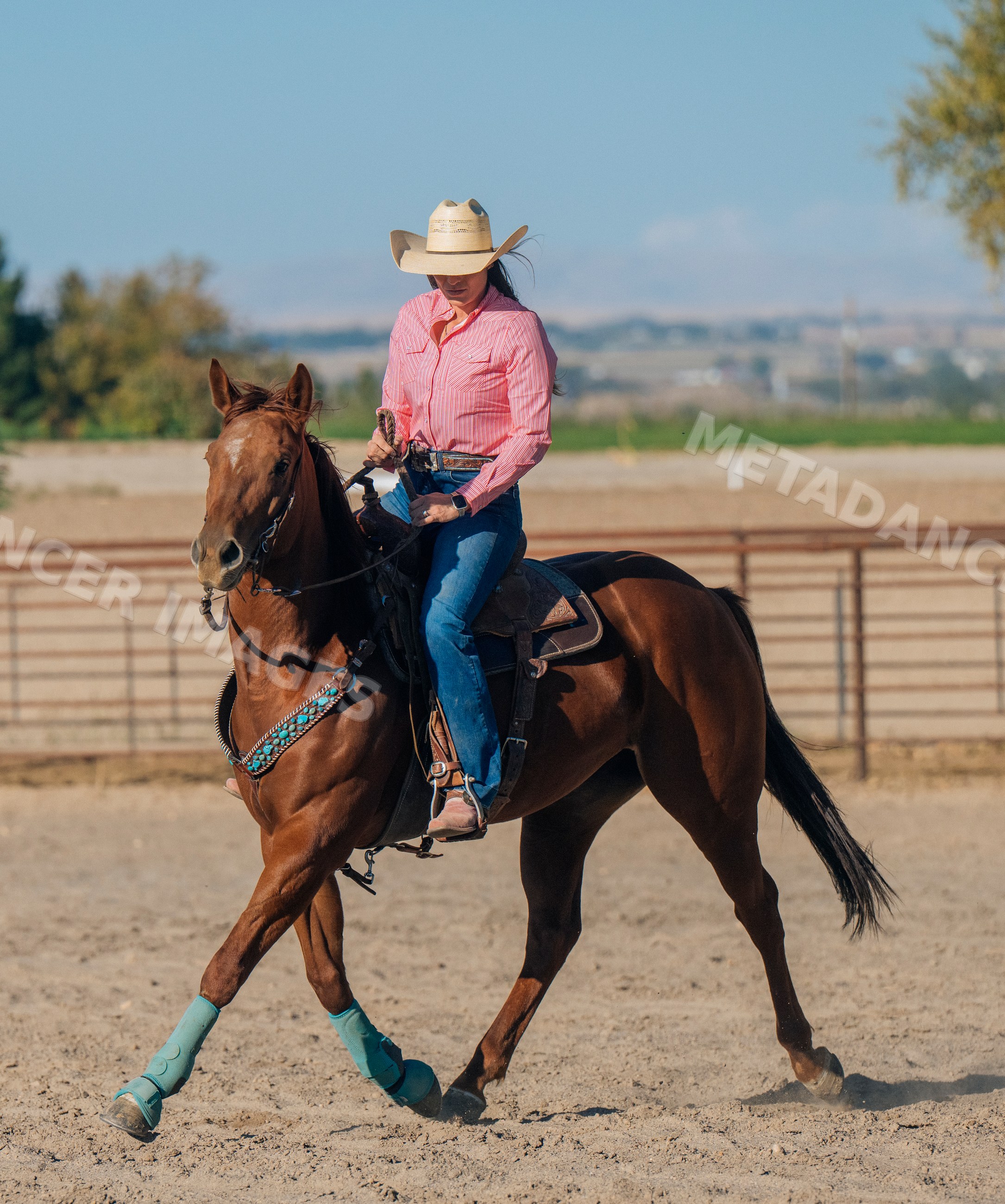 White woman riding horse in sandy arena