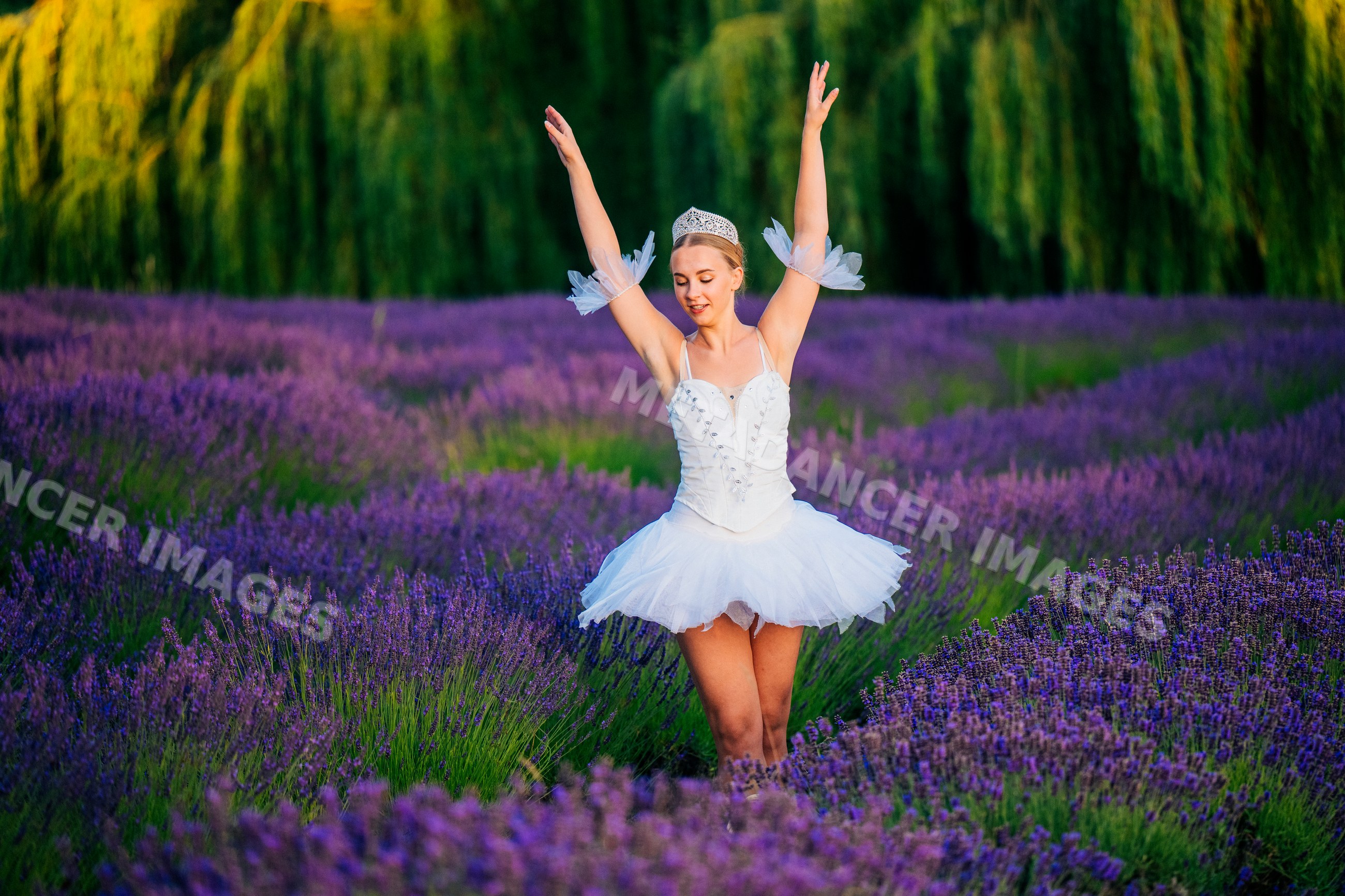 A ballet white dancer dances gracefully in a lavender field in wa USA