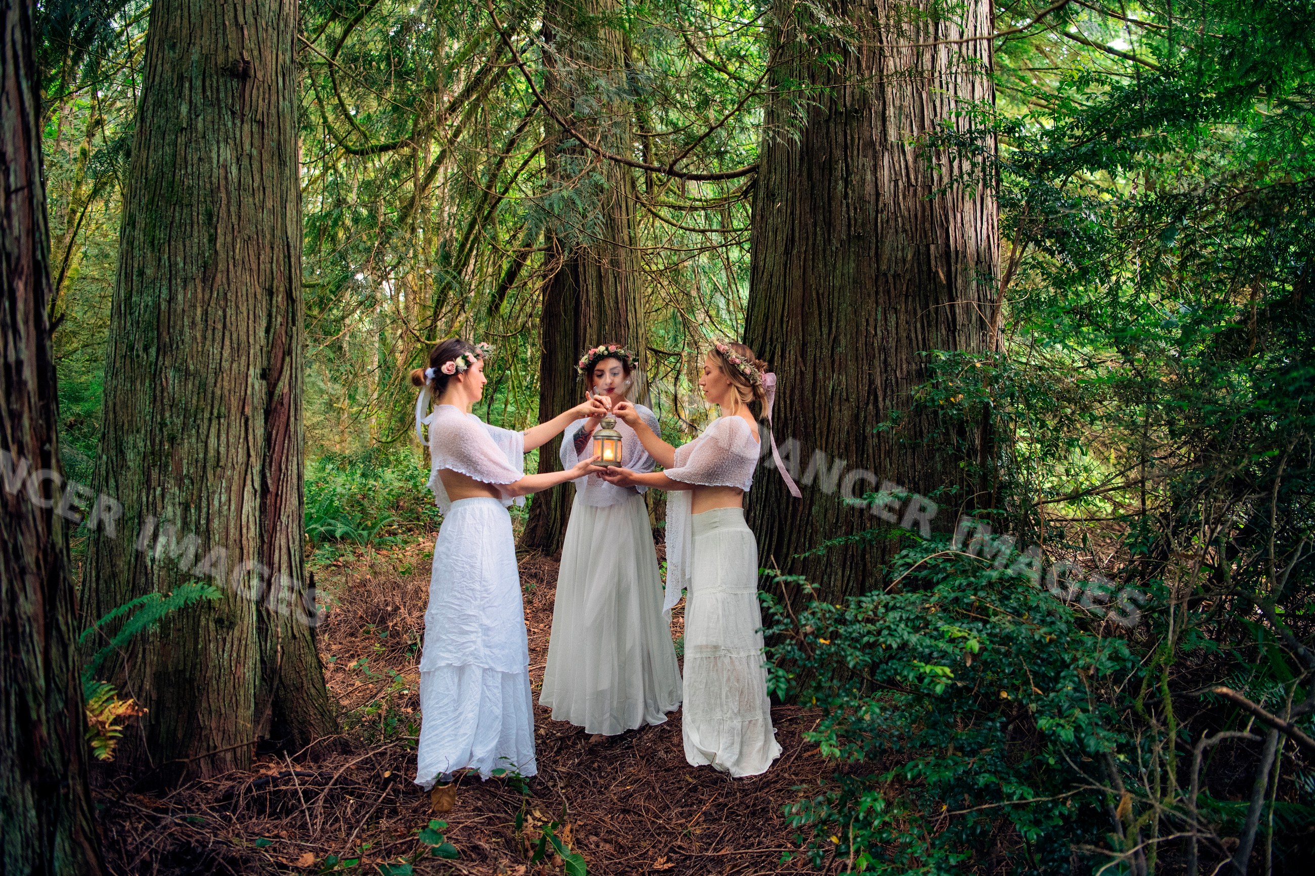 Three white women holding lantern in forest among large trees