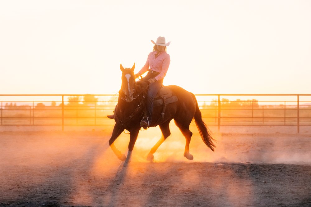 Cowgirl riding horse at dusty sunset in arena