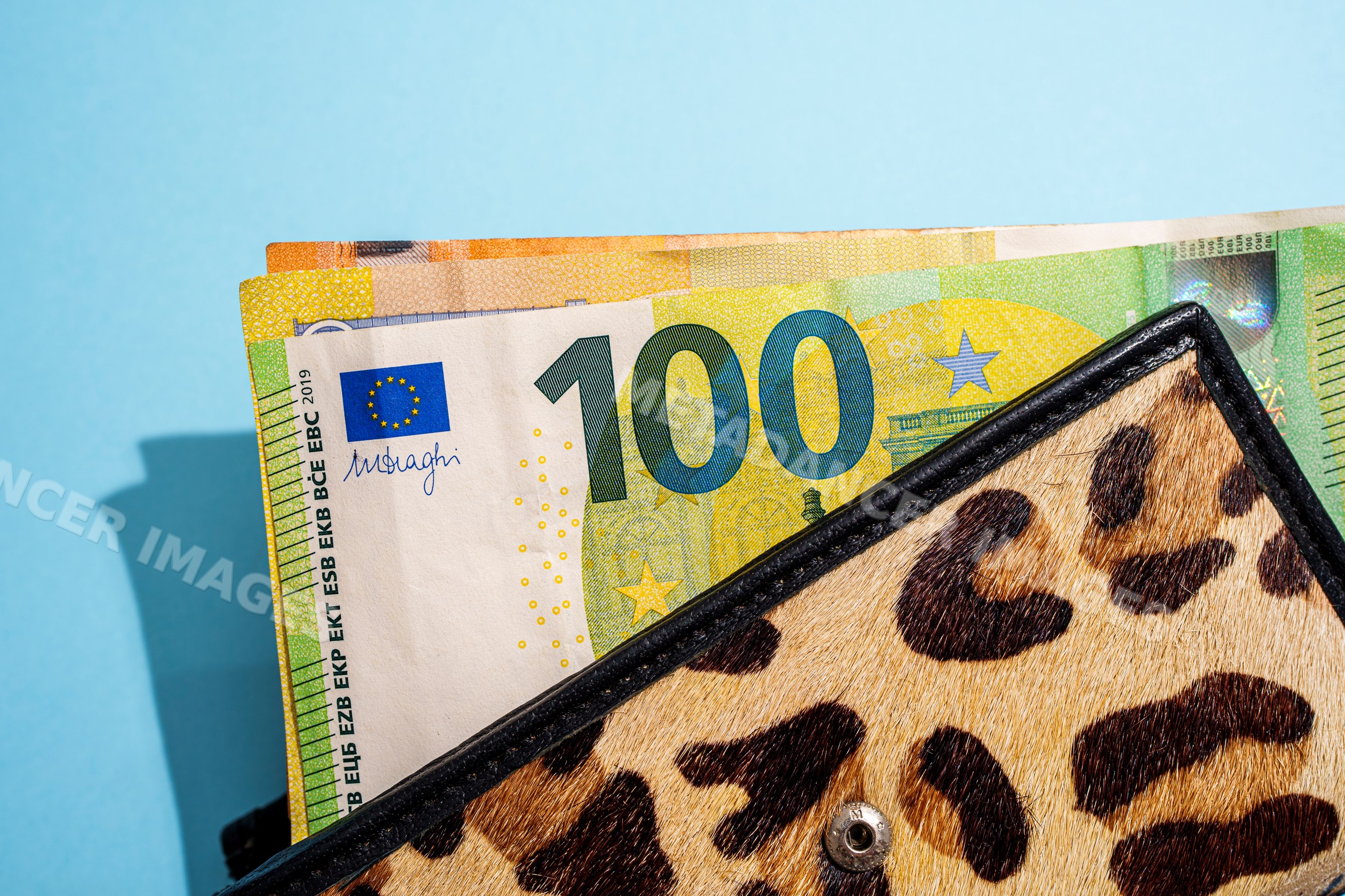 Euro currency notes in leopard print wallet