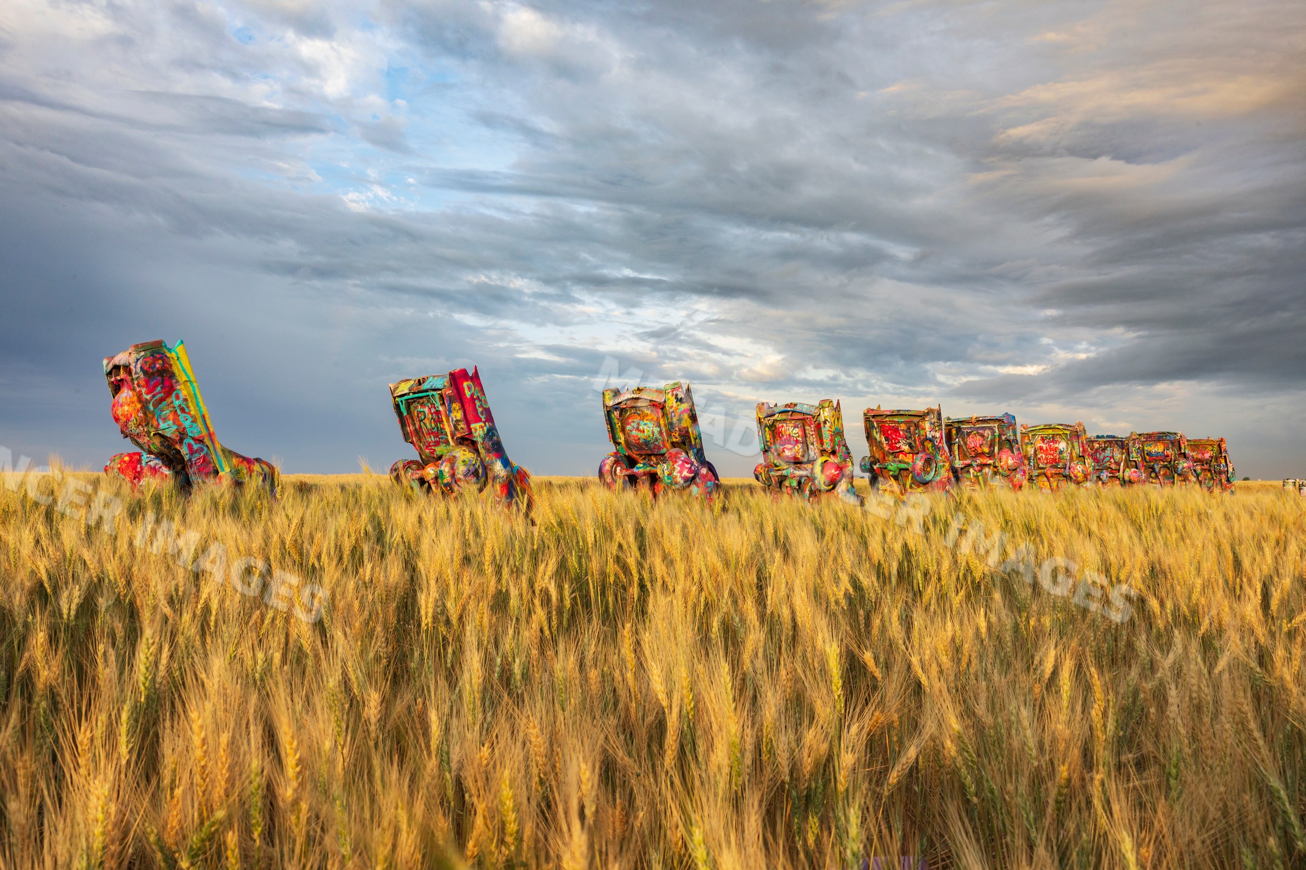 Cadillac ranch colorful car sculpture in wheat field at Sunrise
