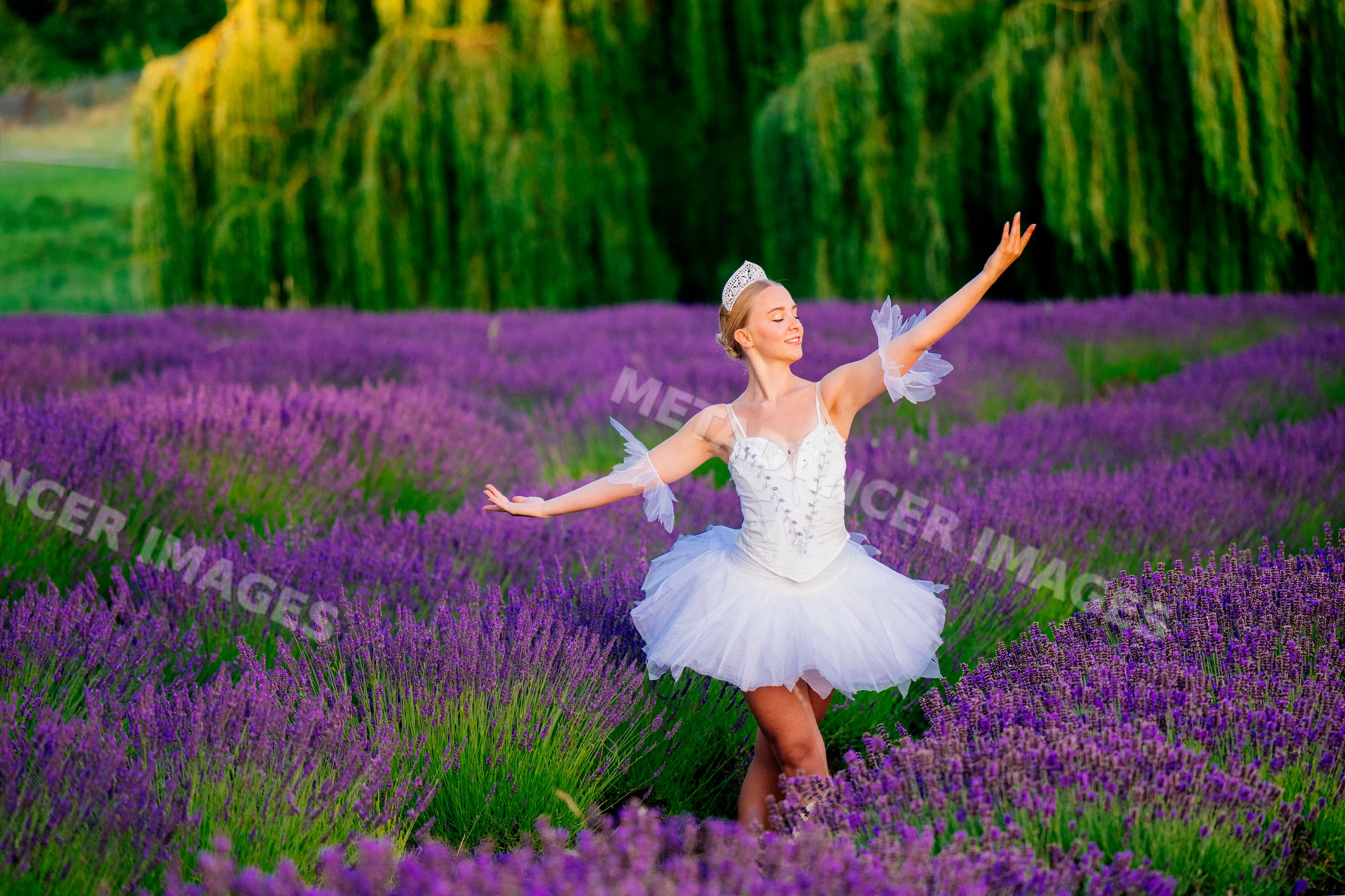 A ballerina dances gracefully in a lavender field in wa USA