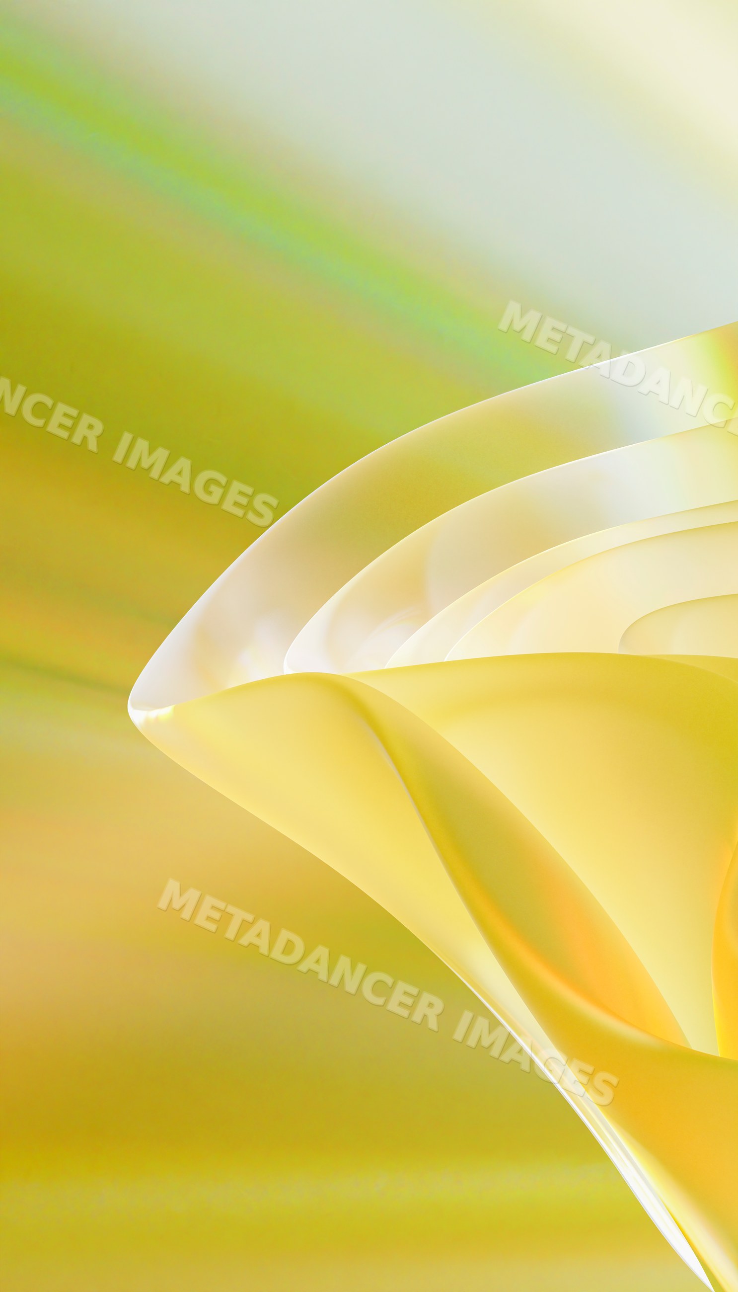 Close-up of translucent yellow abstract curved shapes with smooth