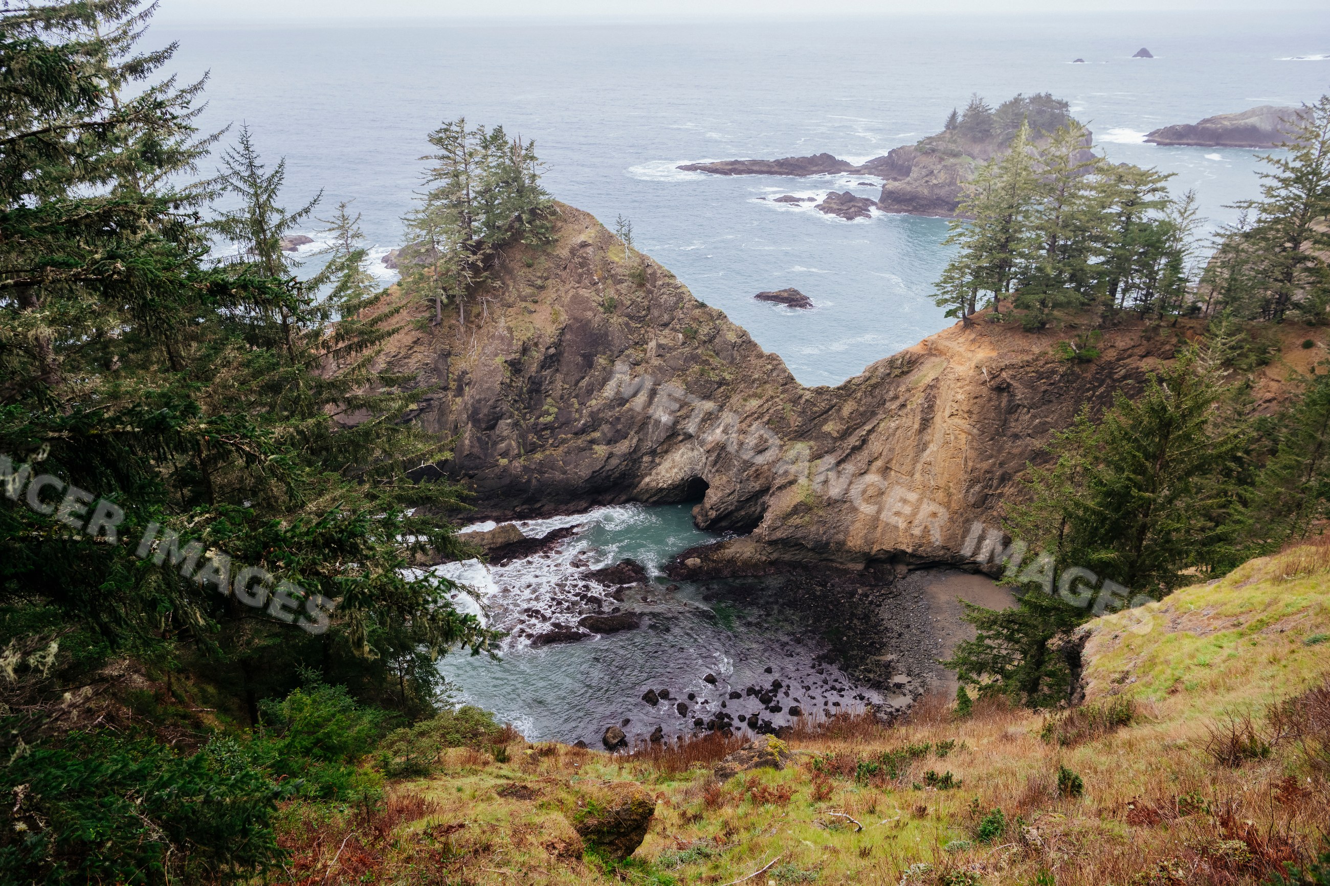 Coastal cliffs and sea cave with evergreen trees, Oregon