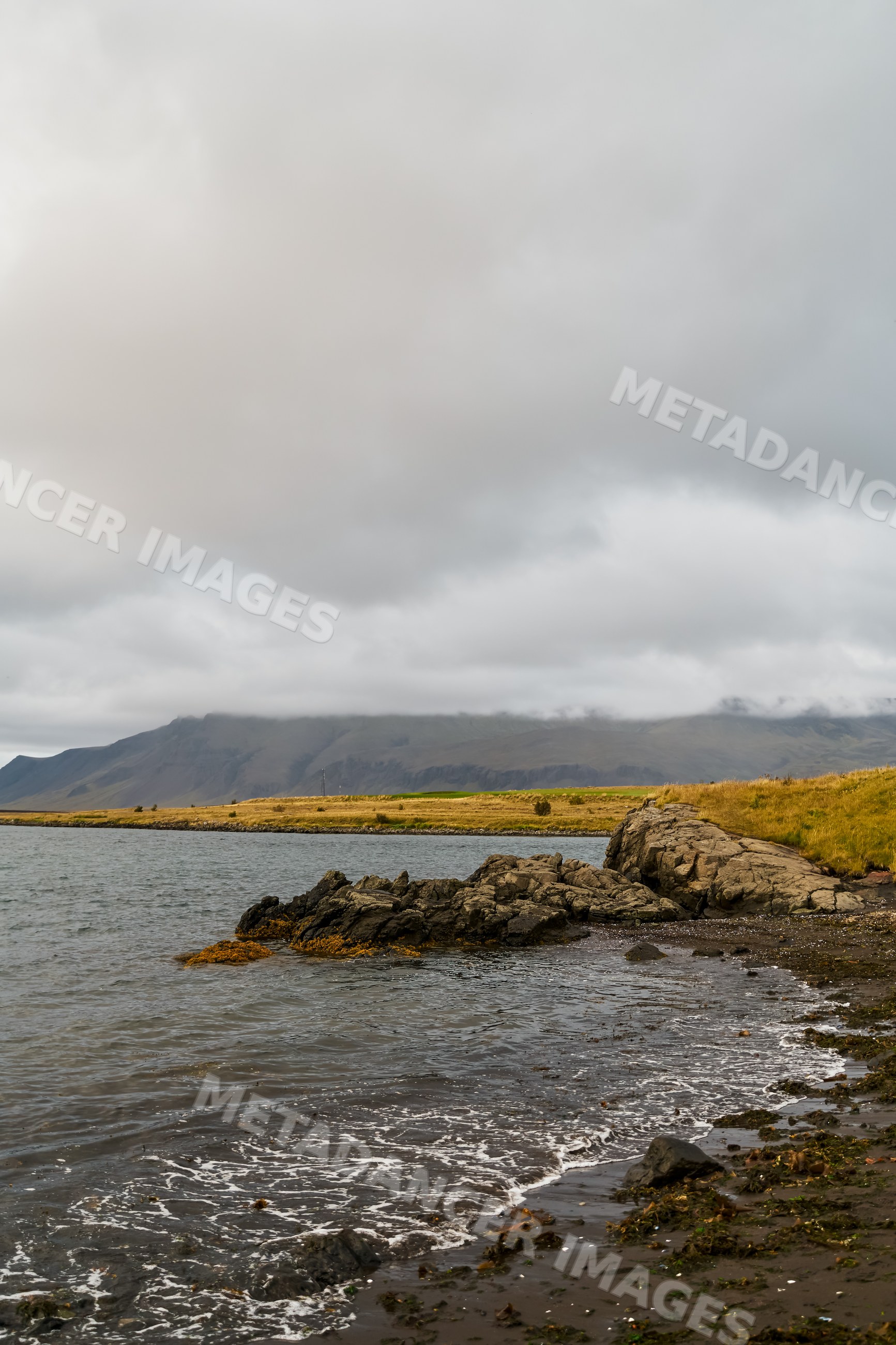 Rocky shoreline with grassy coast and mountains under cloudy skies