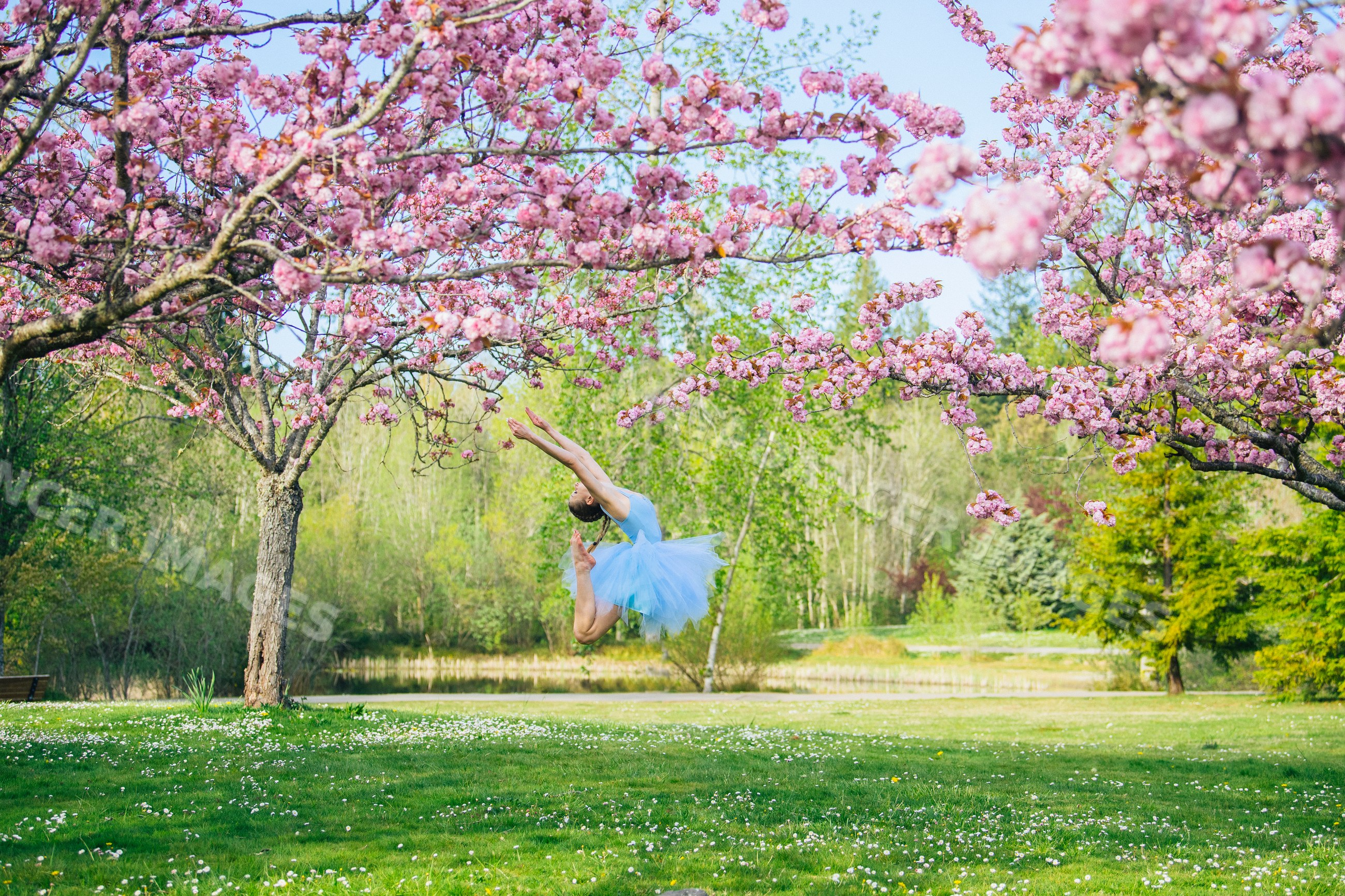 Ballet white dancer jumping in blue tutu among blossoming cherry trees