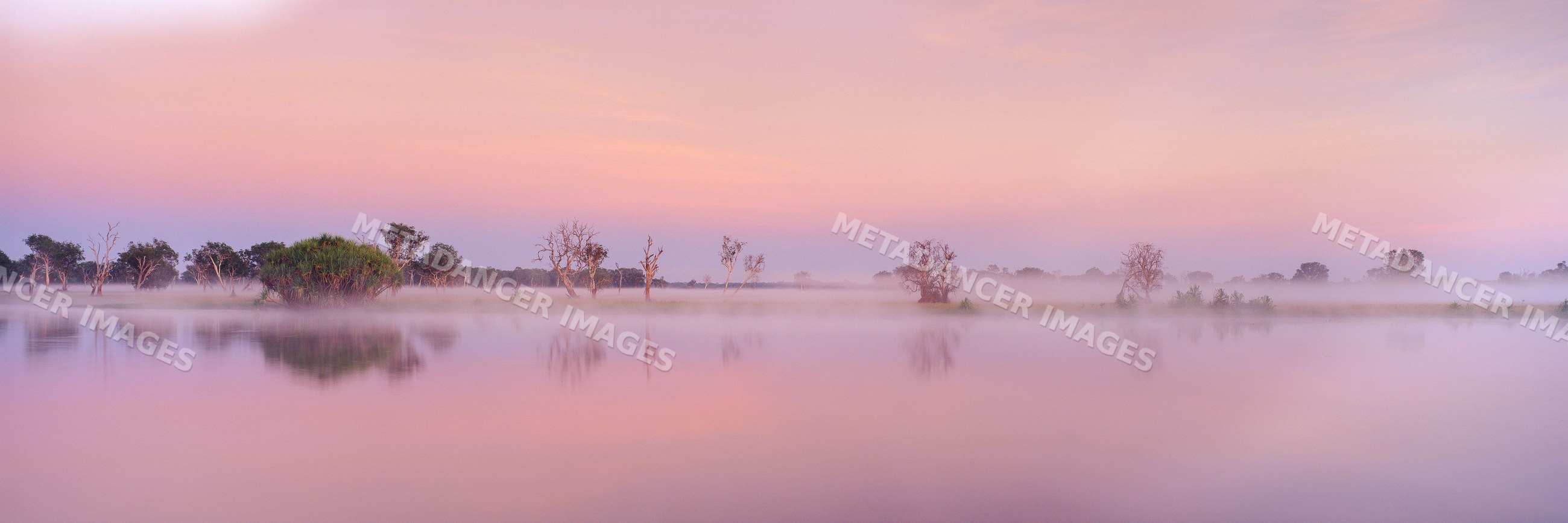 Sunrise mist over water and trees in kakadu national park australia