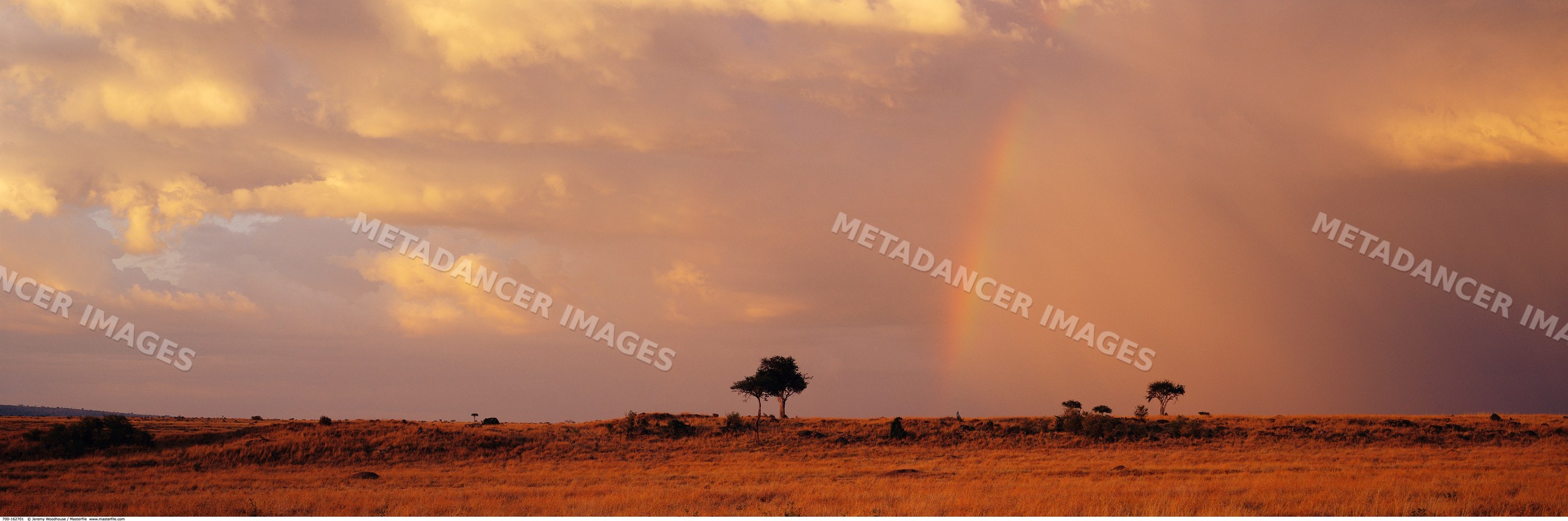 Rainbow over savanna kenya africa