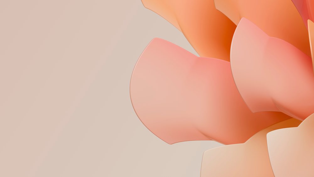 Close-up of succulent flower petals digital illustration