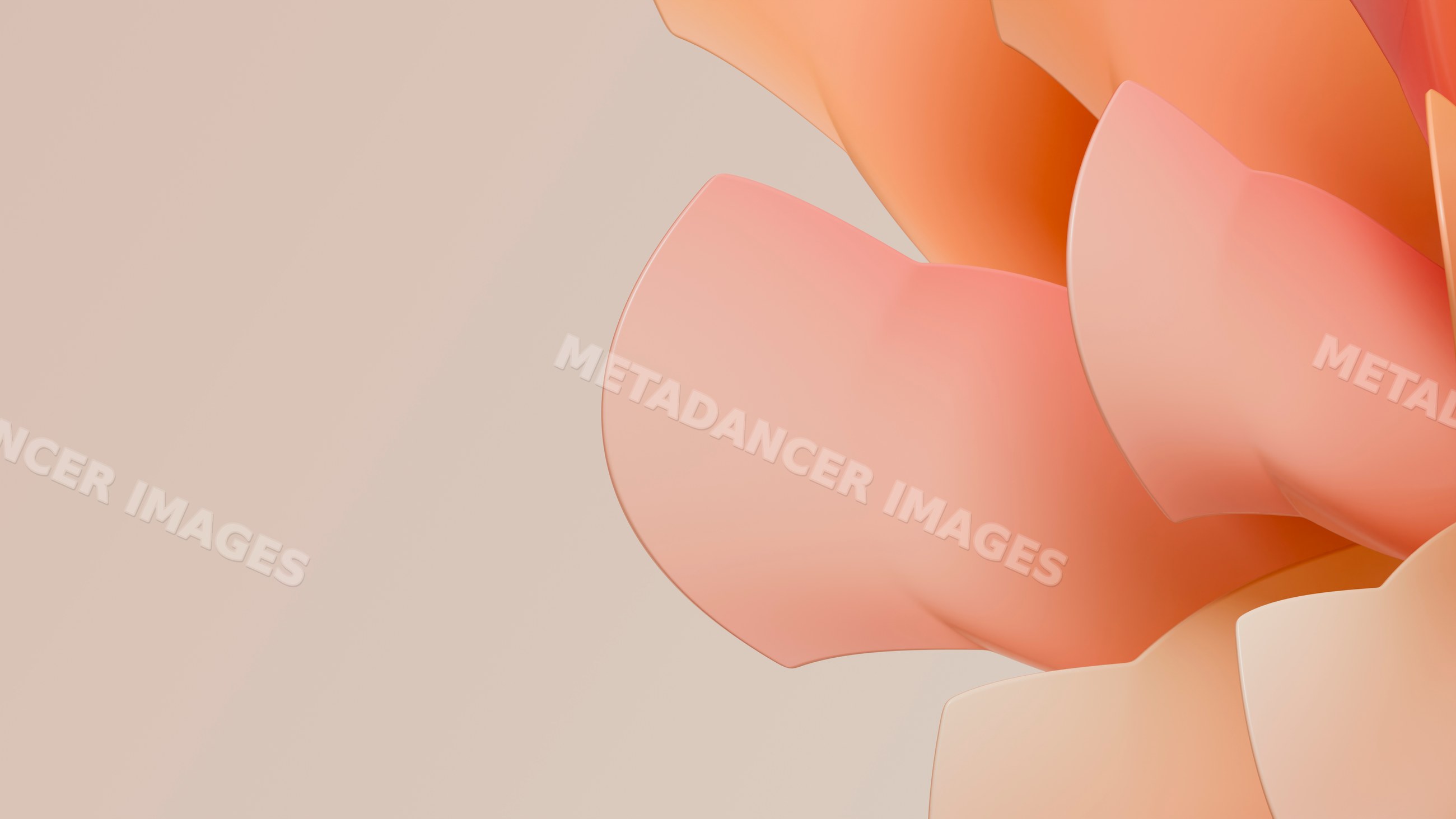Close-up of succulent flower petals digital illustration