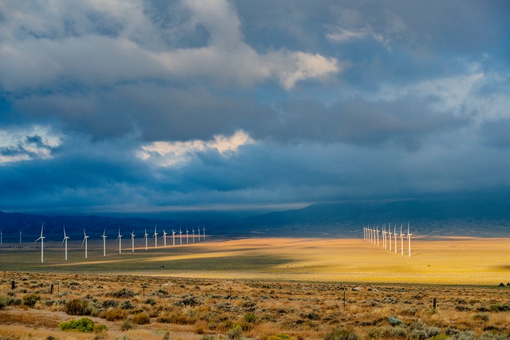Rows of wind turbines producing renewable energy