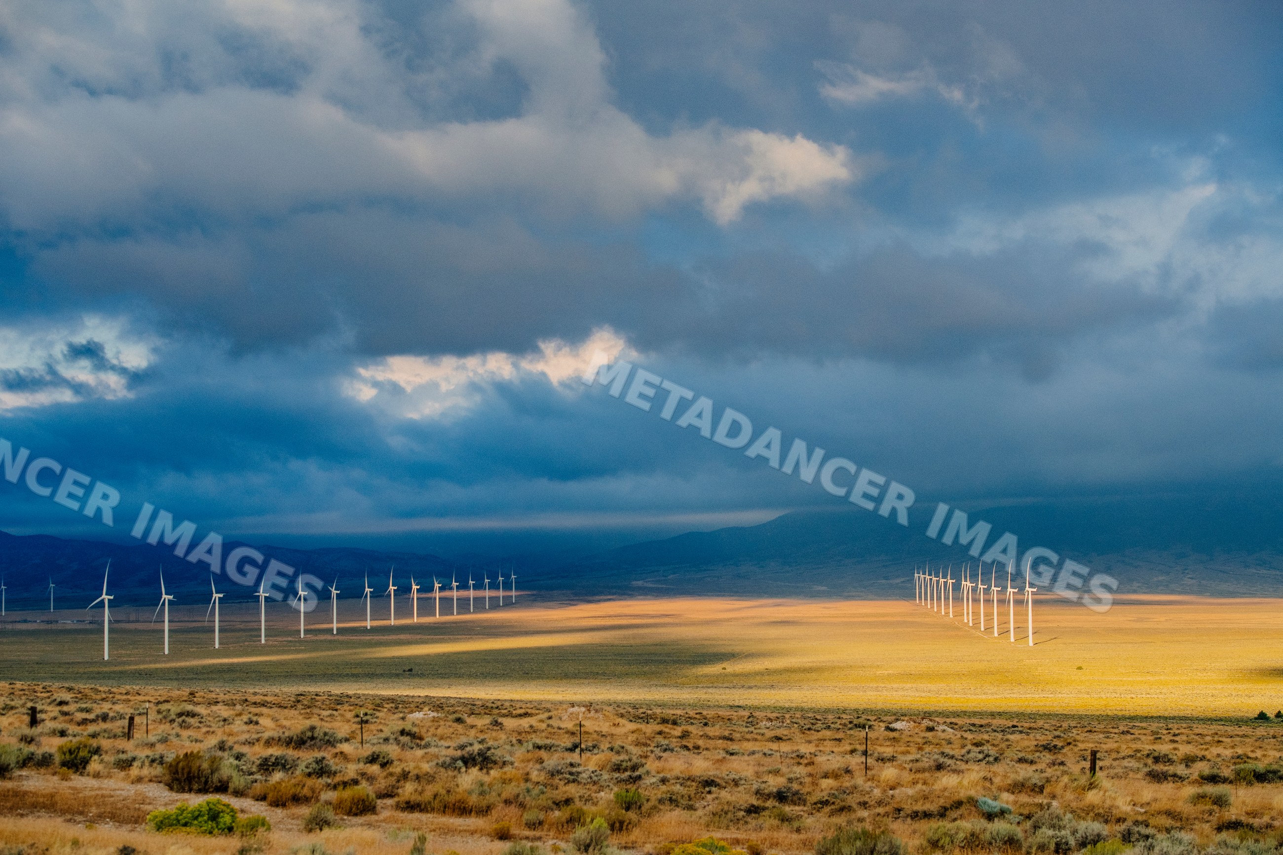 Rows of wind turbines producing renewable energy