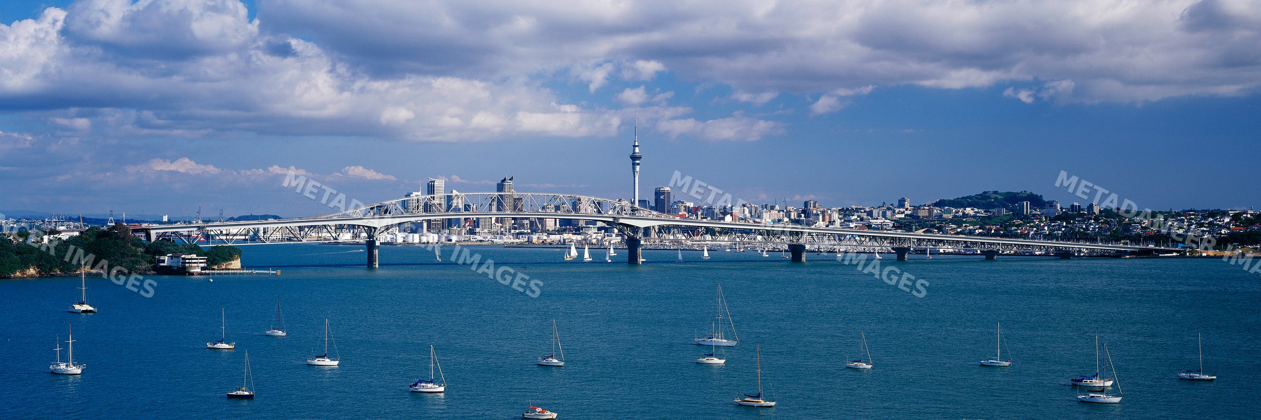 Auckland skyline with harbour bridge, sky tower