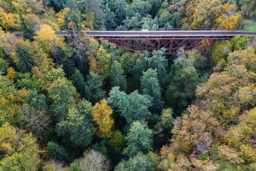 Railway Bridge over autumn forest with colorful trees in tsagveri
