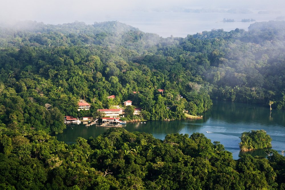 Aerial view of lago gatun tropical rainforest and lake