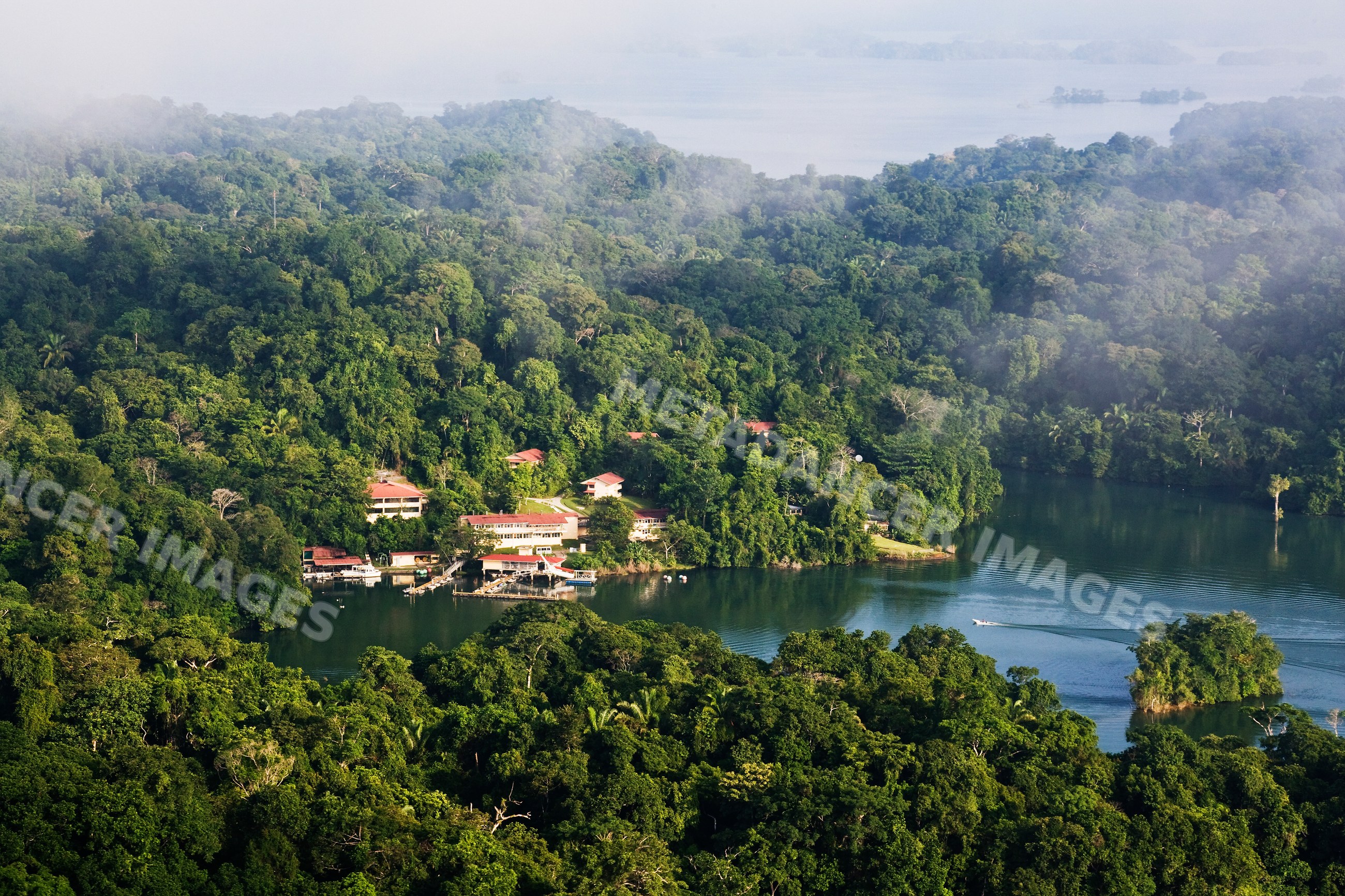 Aerial view of lago gatun tropical rainforest and lake