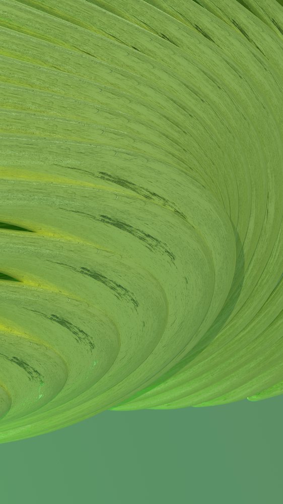 Close-up of green leaf with visible veins and texture