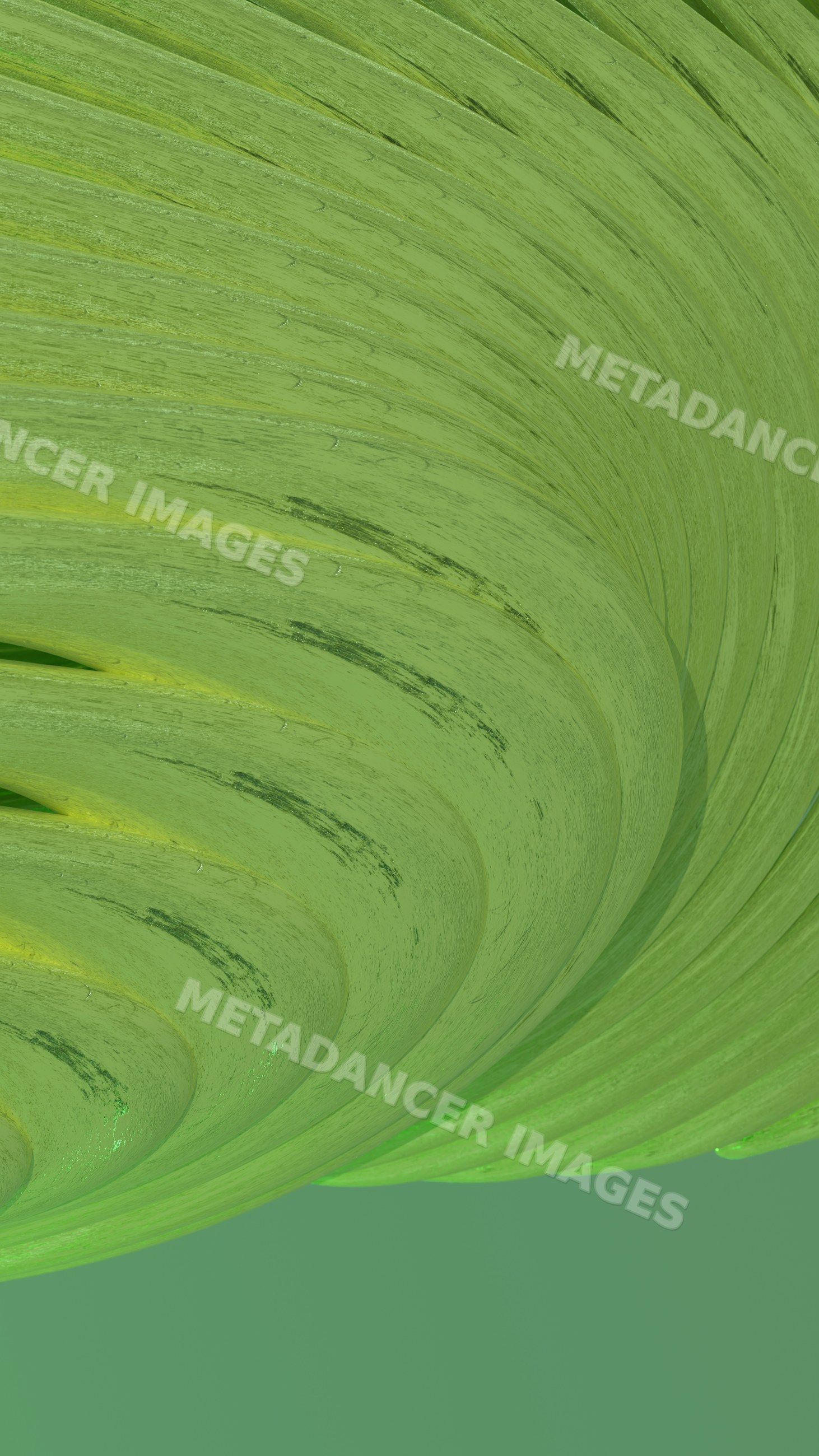 Close-up of green leaf with visible veins and texture