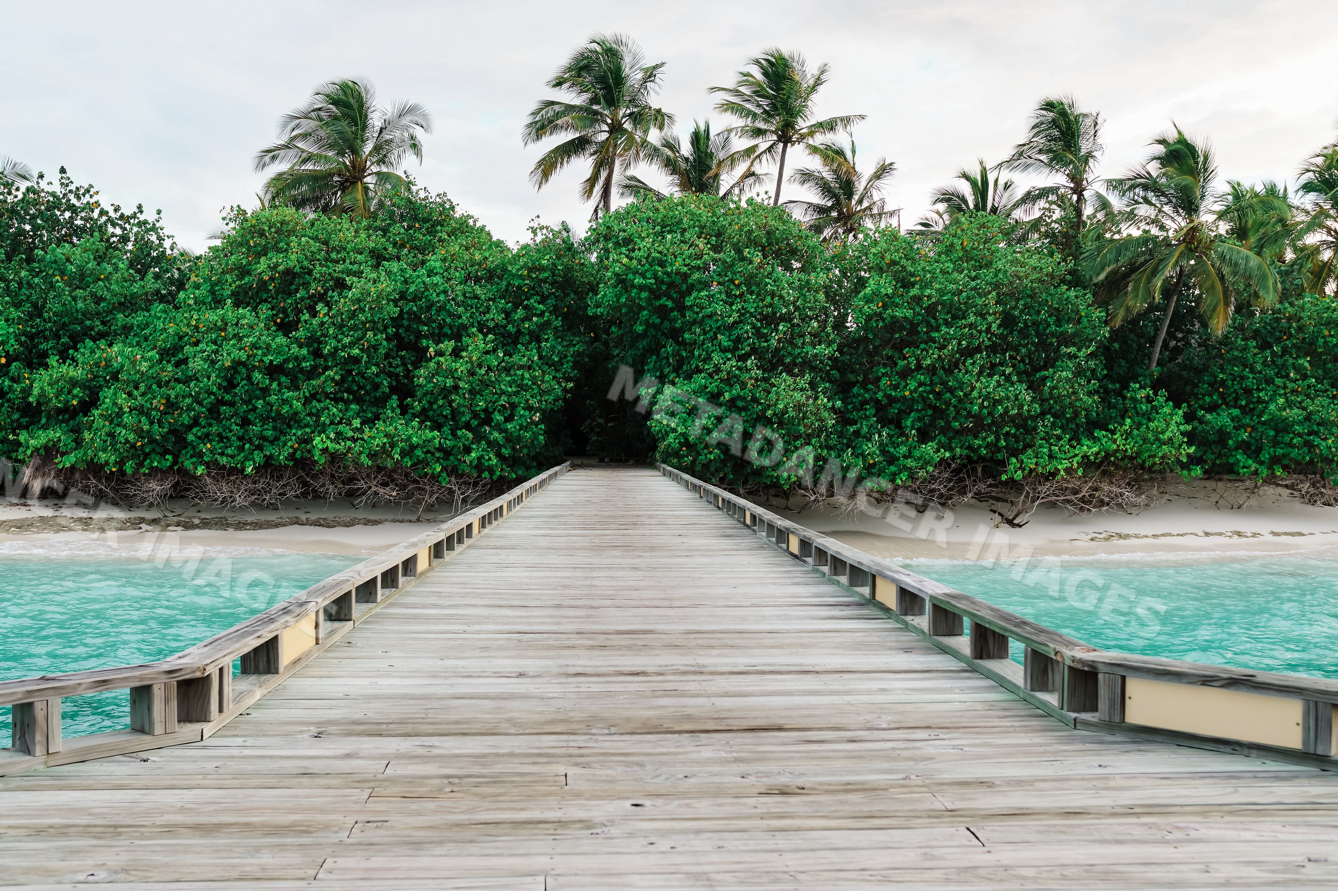 A wooden pier leads to a tropical island beach with palm trees