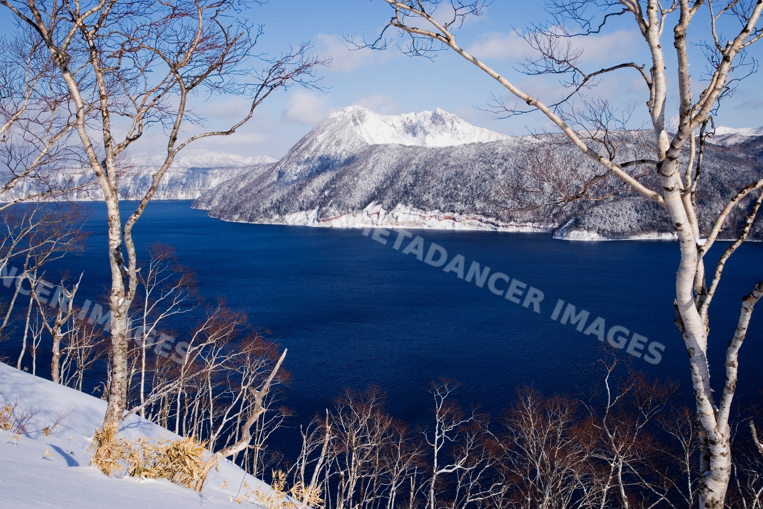 Lake mashu with snow and birch trees, japan