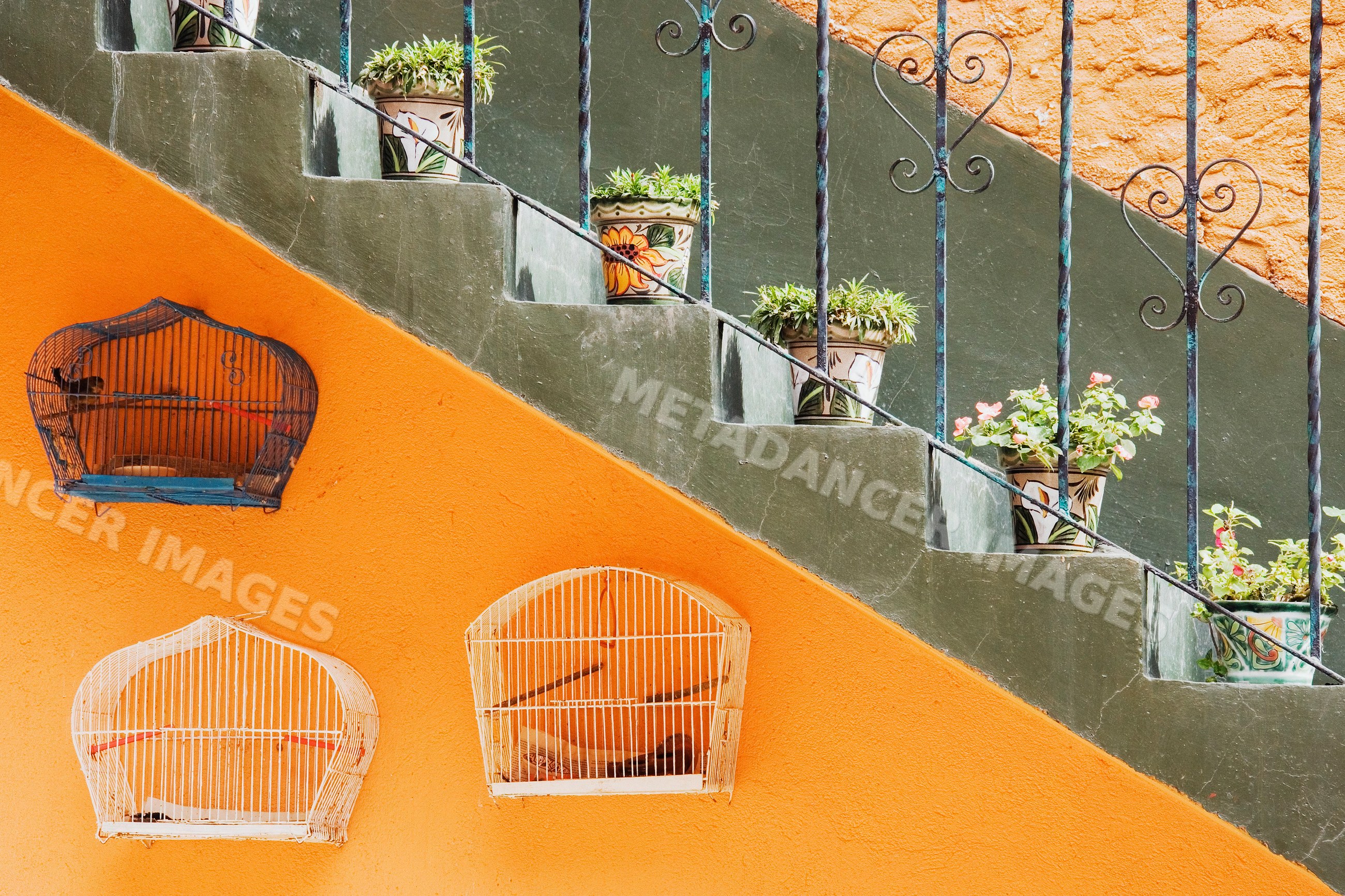 Birdcages and potted flowering plants decorate a colorful exterior