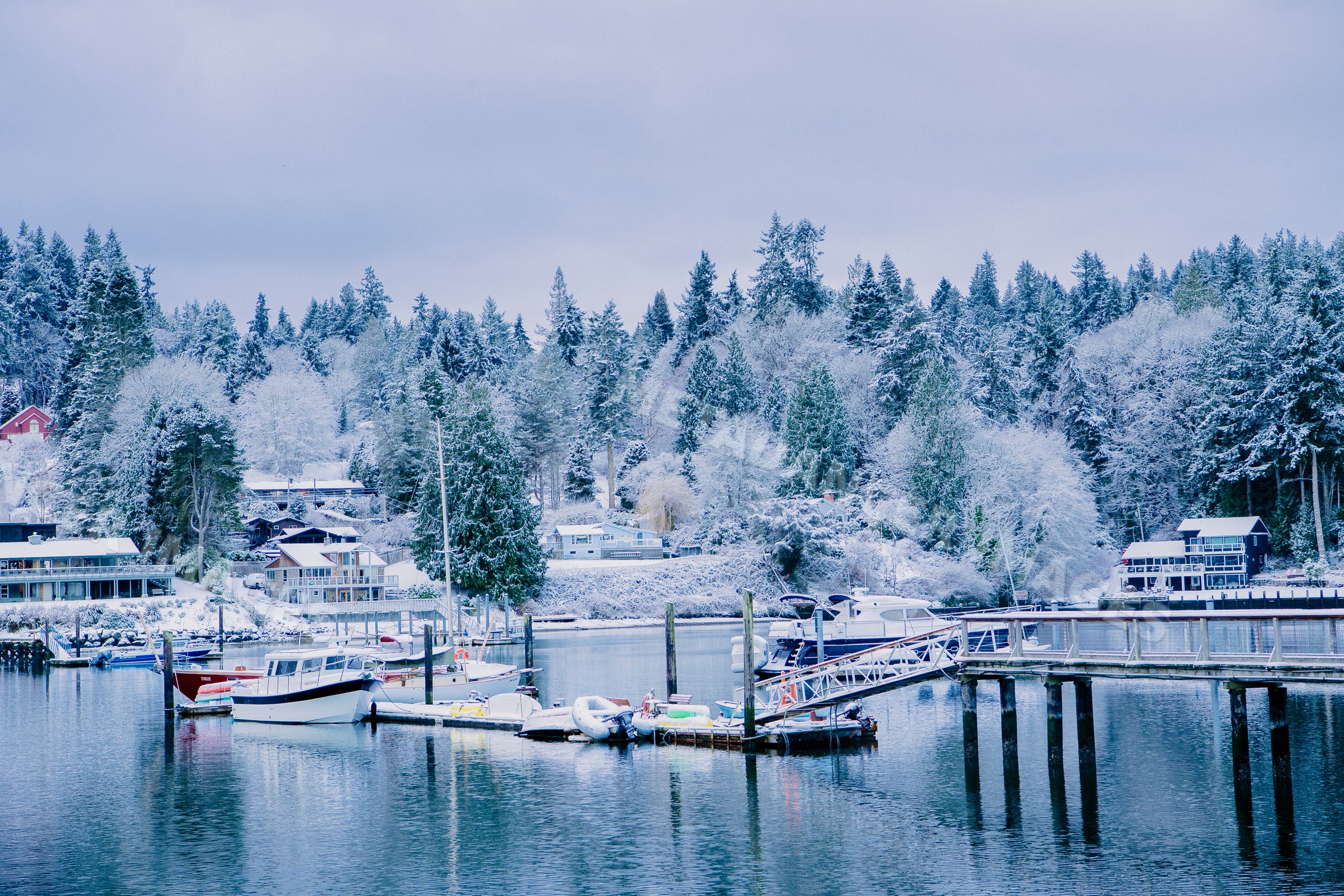 Boats docked at marina in snowy pine forest winter landscape