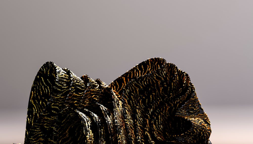Black coral with intricate textured ridges and patterns