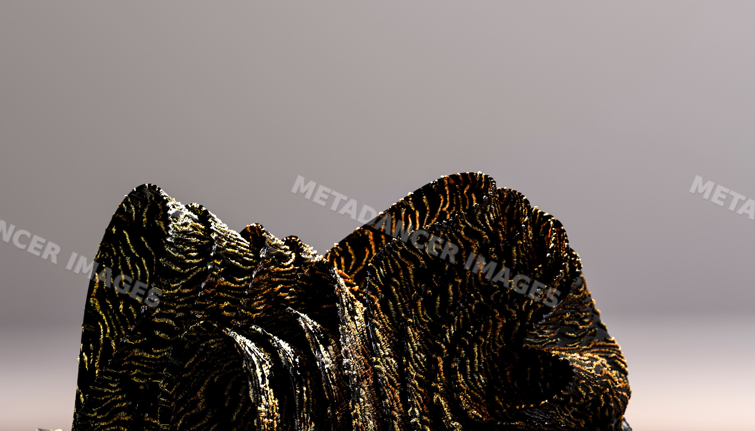 Black coral with intricate textured ridges and patterns