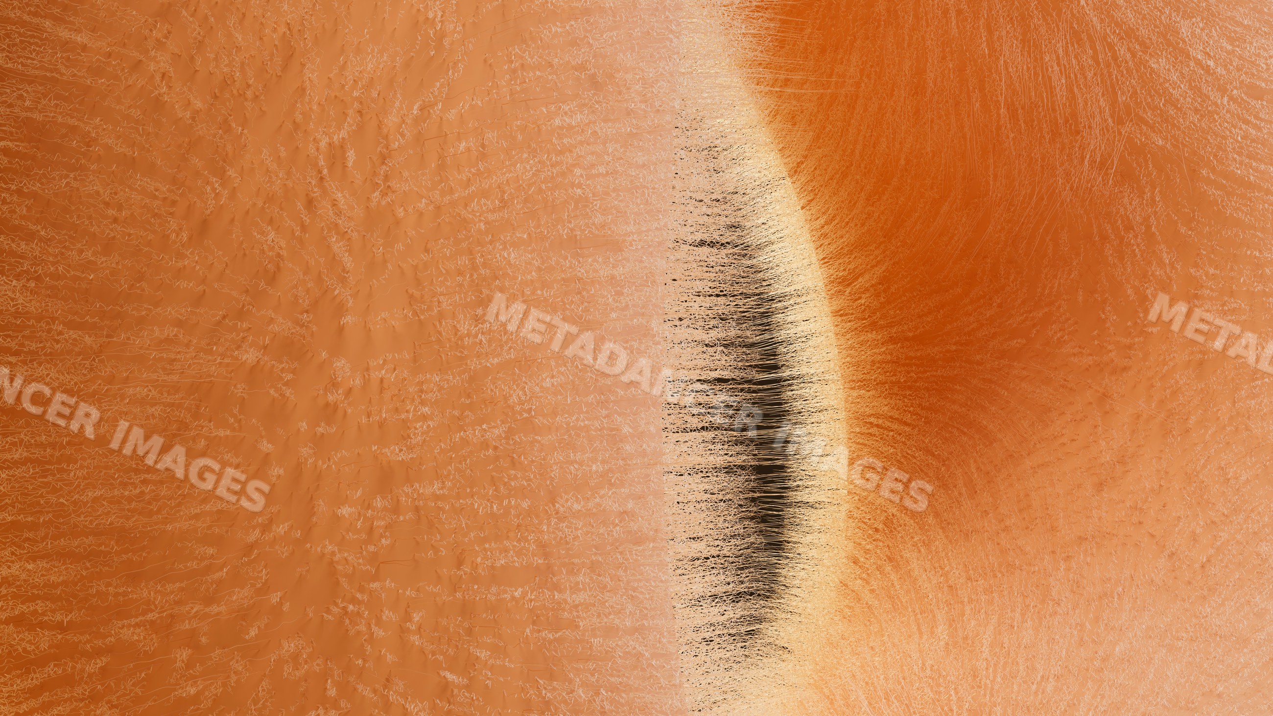 Abstract orange and black digital illustration with flowing textured