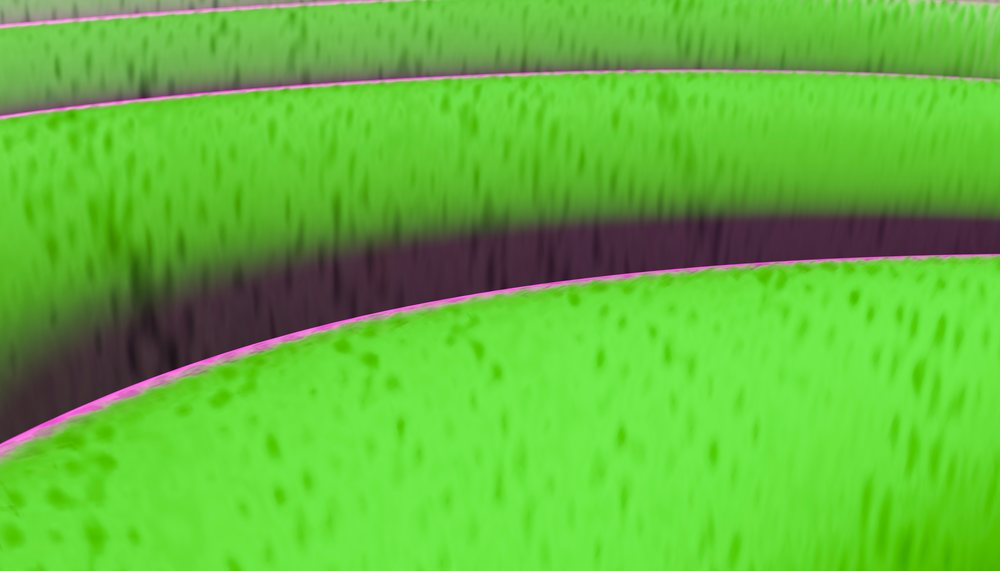Close-up of avocado skin texture with natural curves and detail