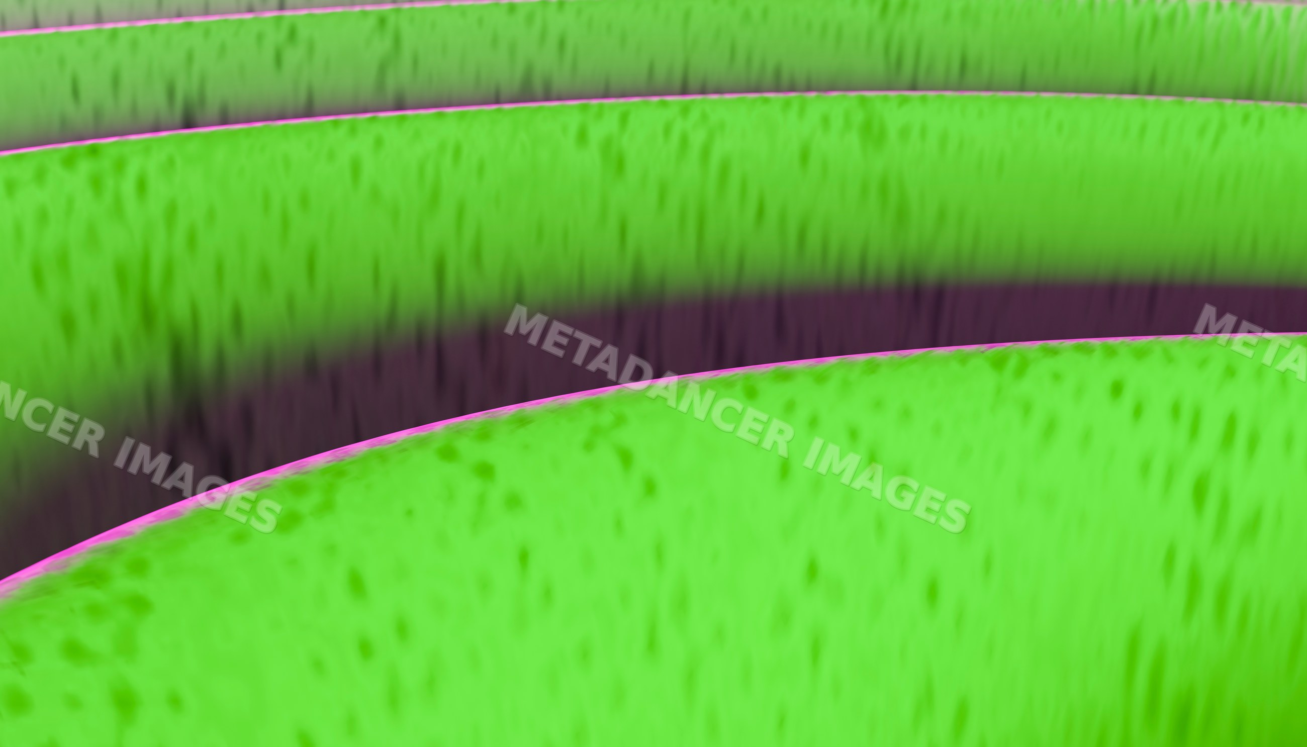 Close-up of avocado skin texture with natural curves and detail