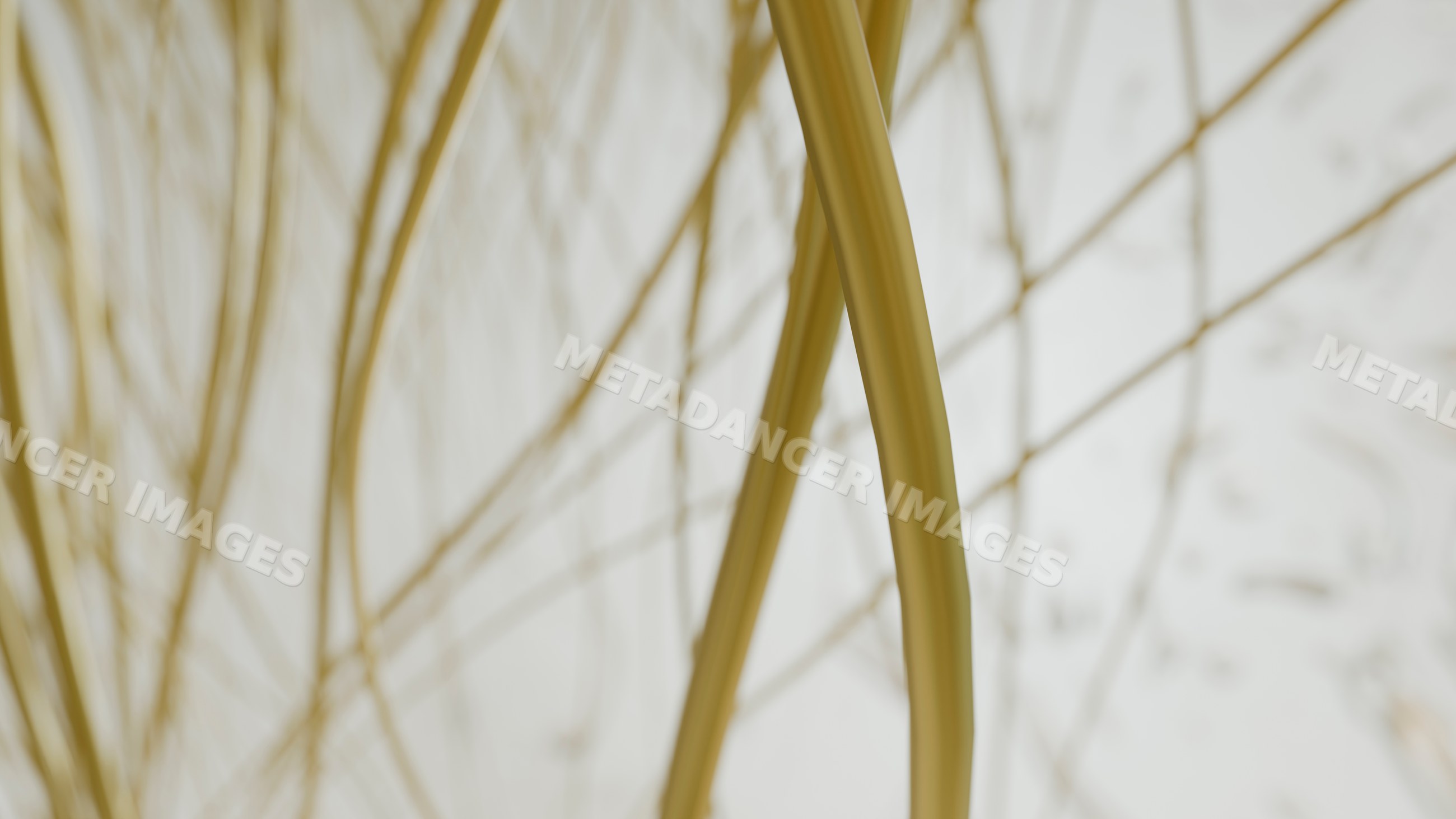 Dry thin branches with light background and minimalist natural texture
