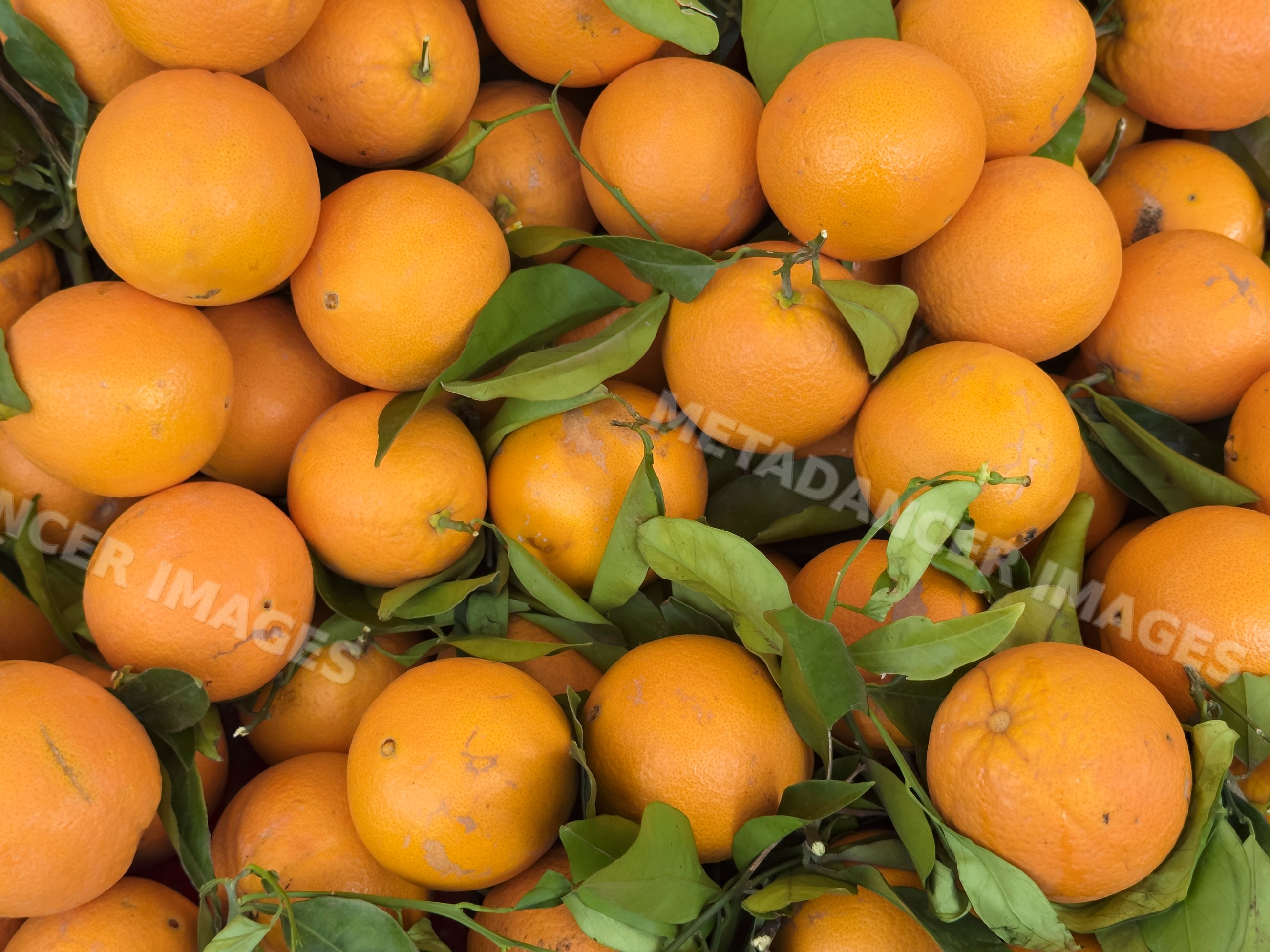 Oranges on display at Local Market in locorotondo, Puglia, Italy