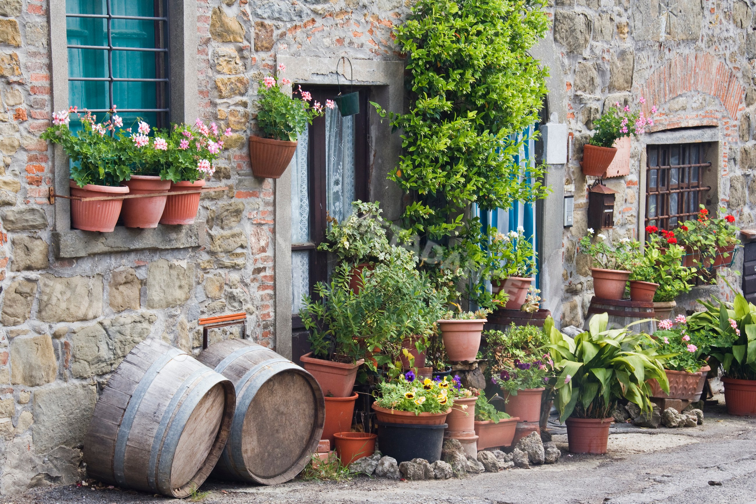 Potted plants outside rustic stone building italy