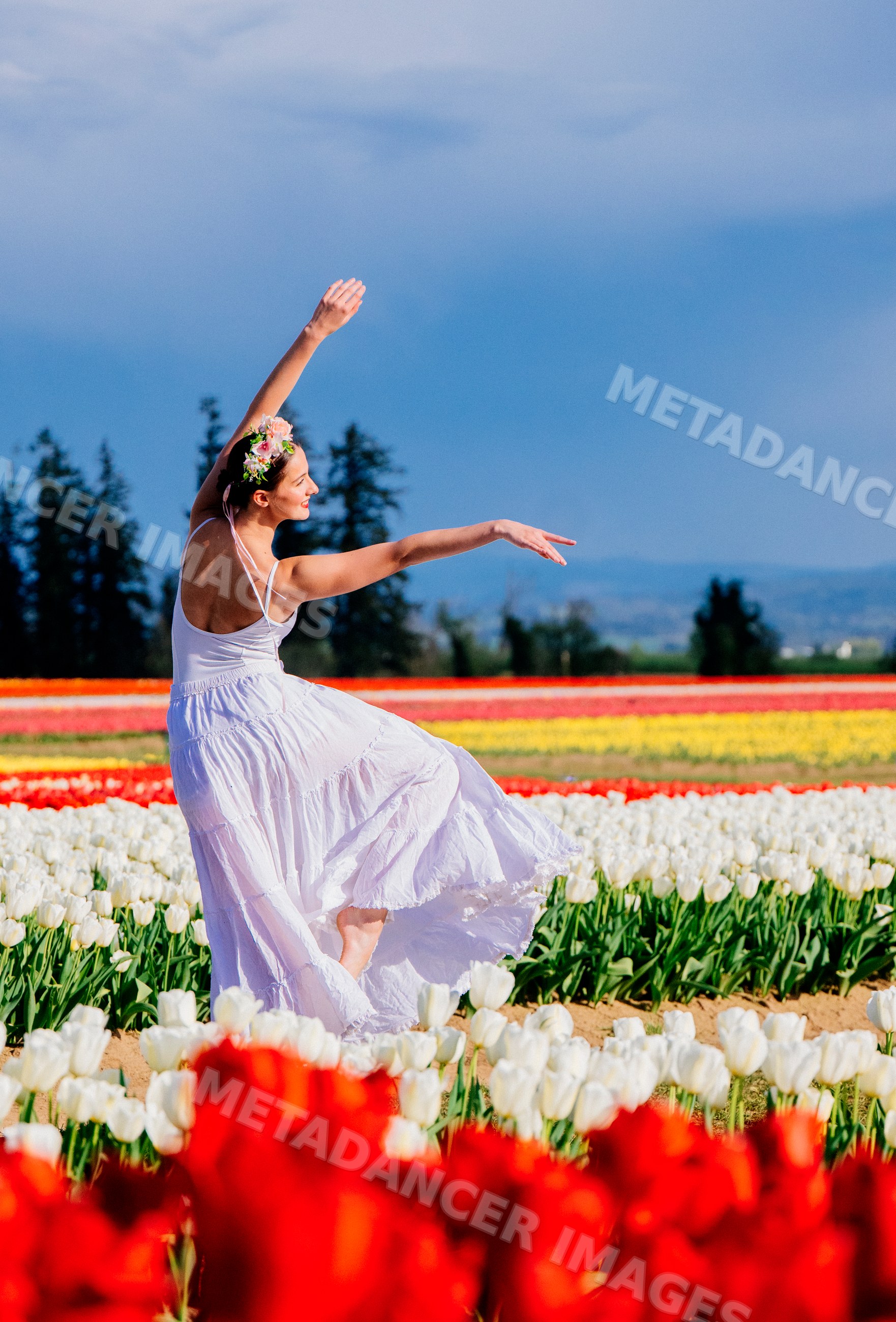 Ballet white dancer dances gracefully in tulip field in USA