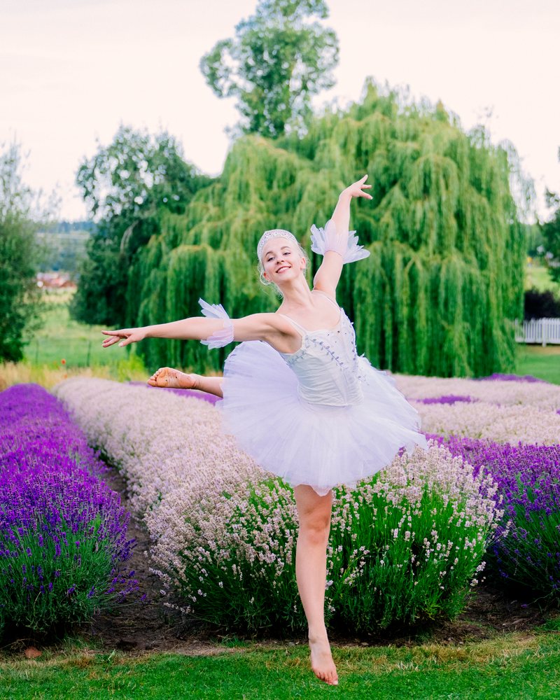 White Dancer leaps gracefully in a lavender field in WA, USA