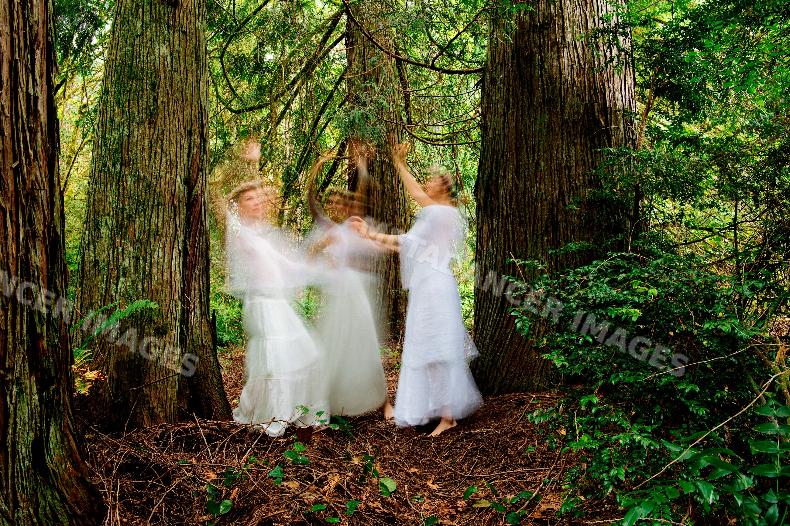 Women dancing in white dresses among forest trees with motion blur