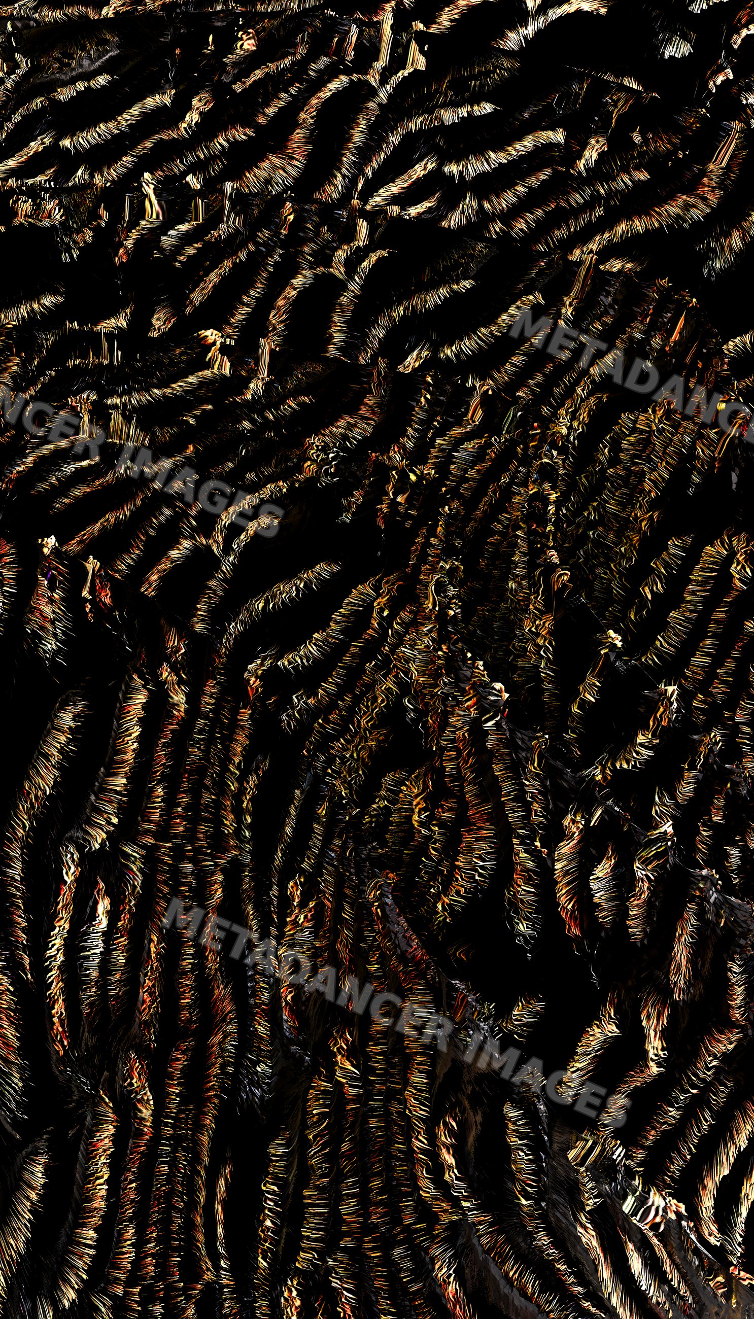 Wild cat fur close-up with detailed Black and orange stripes